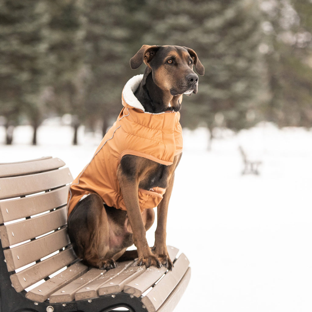 GF PET® Elasto-Fit Insulated Raincoat - Hazel (Sherpa Lined Luxury)