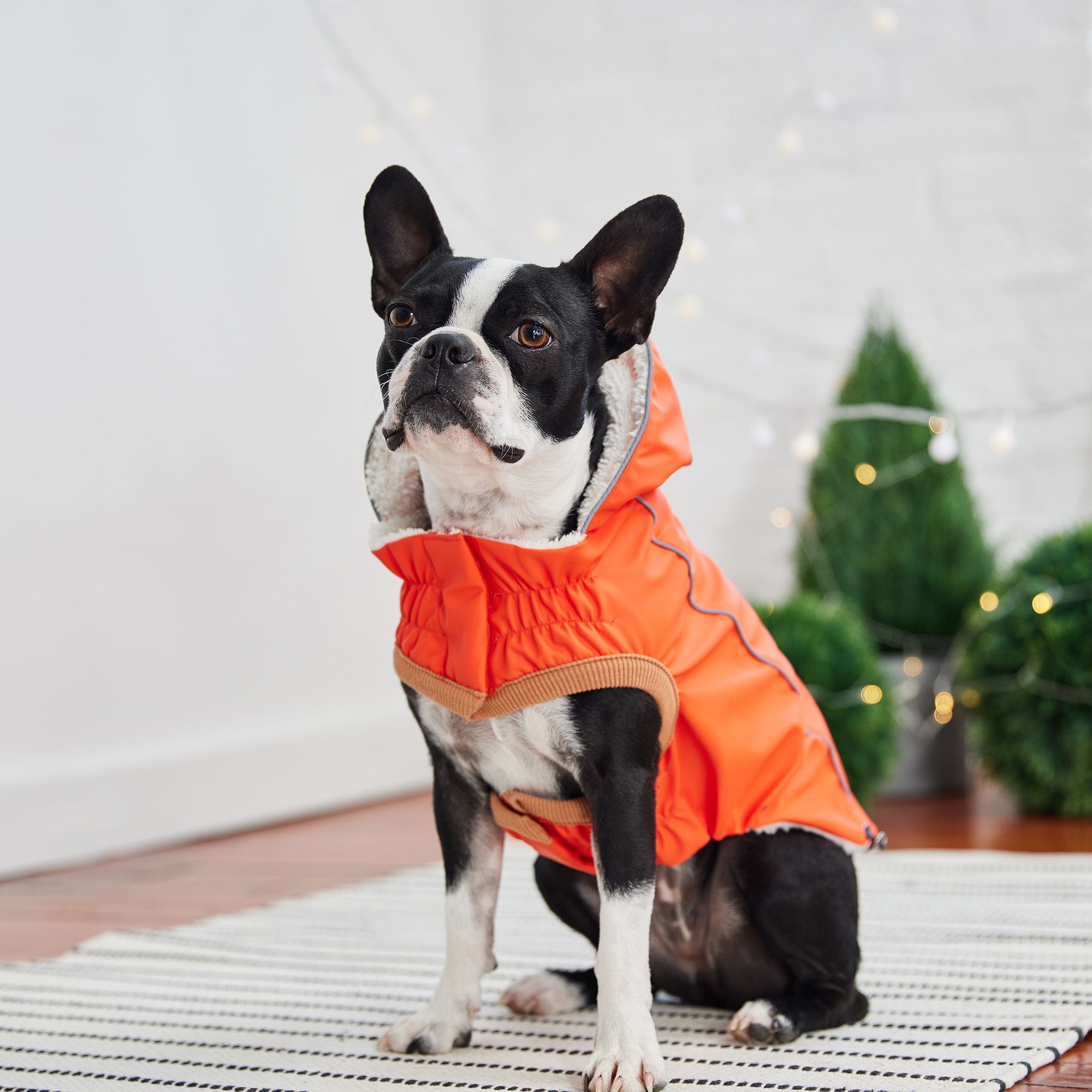GF PET® Elasto-Fit Insulated Raincoat - Orange (High-Visibility & Sherpa Lined)