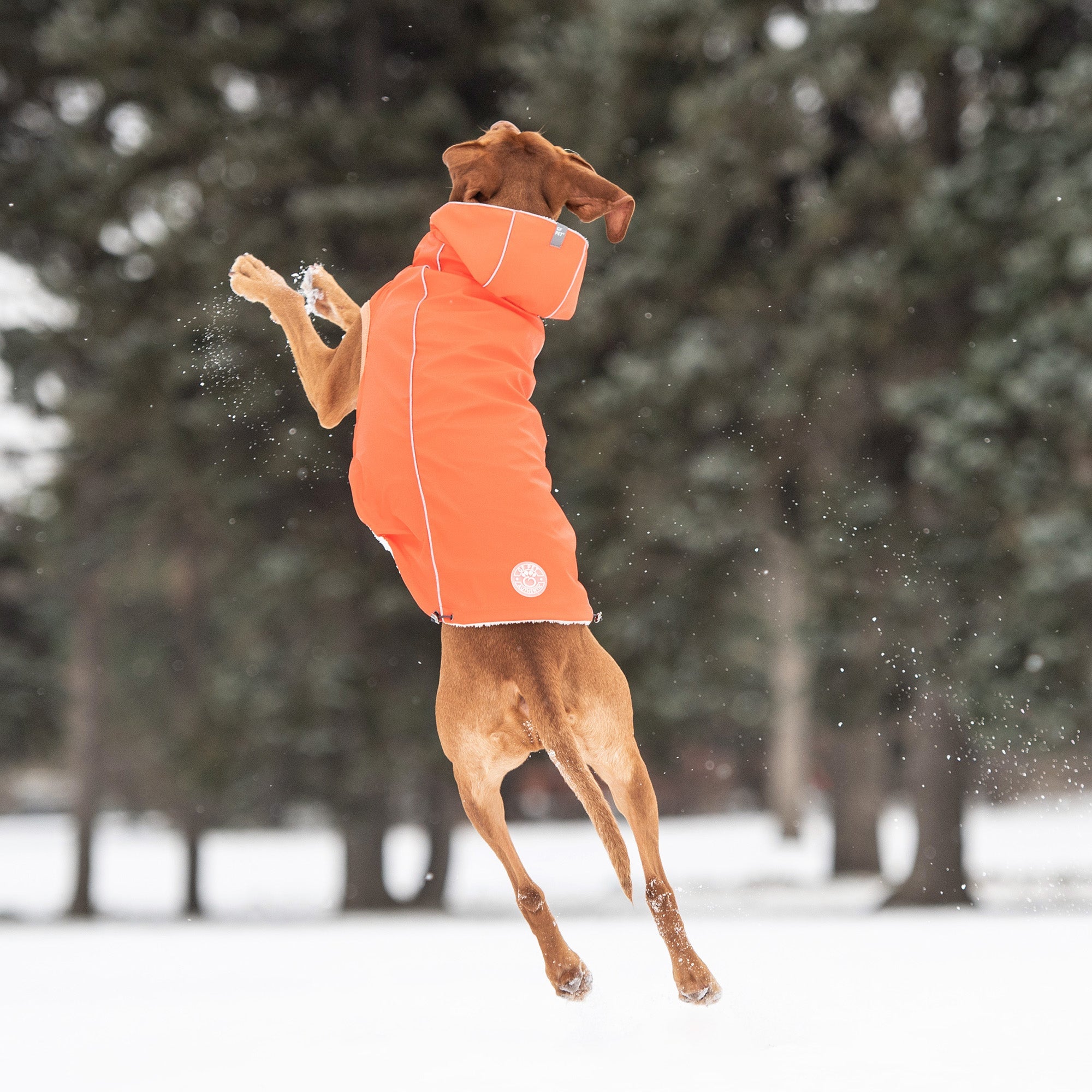 GF PET® Elasto-Fit Insulated Raincoat - Orange (High-Visibility & Sherpa Lined)