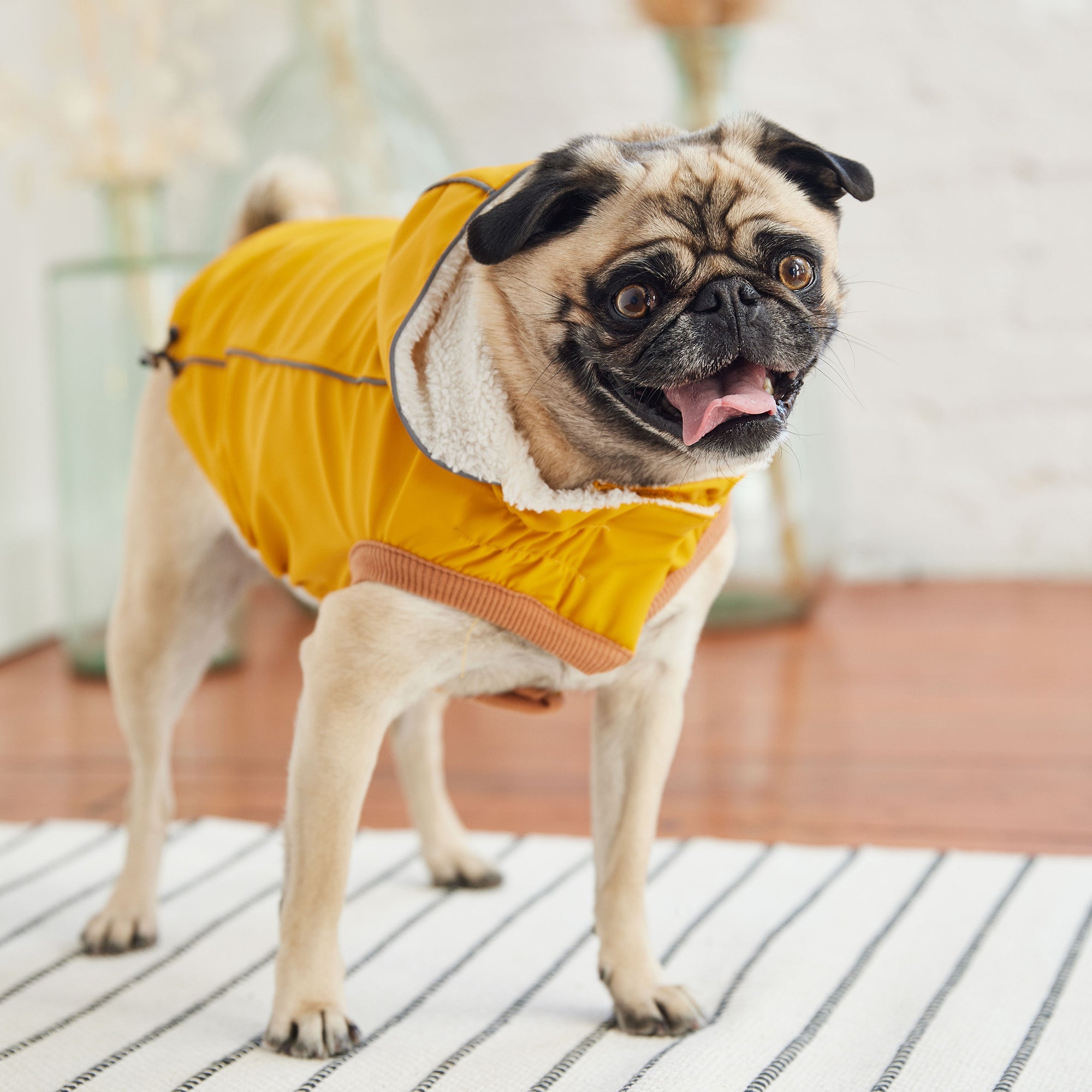 GF PET® Elasto-Fit Insulated Raincoat - Yellow (Classic High-Visibility & Sherpa)