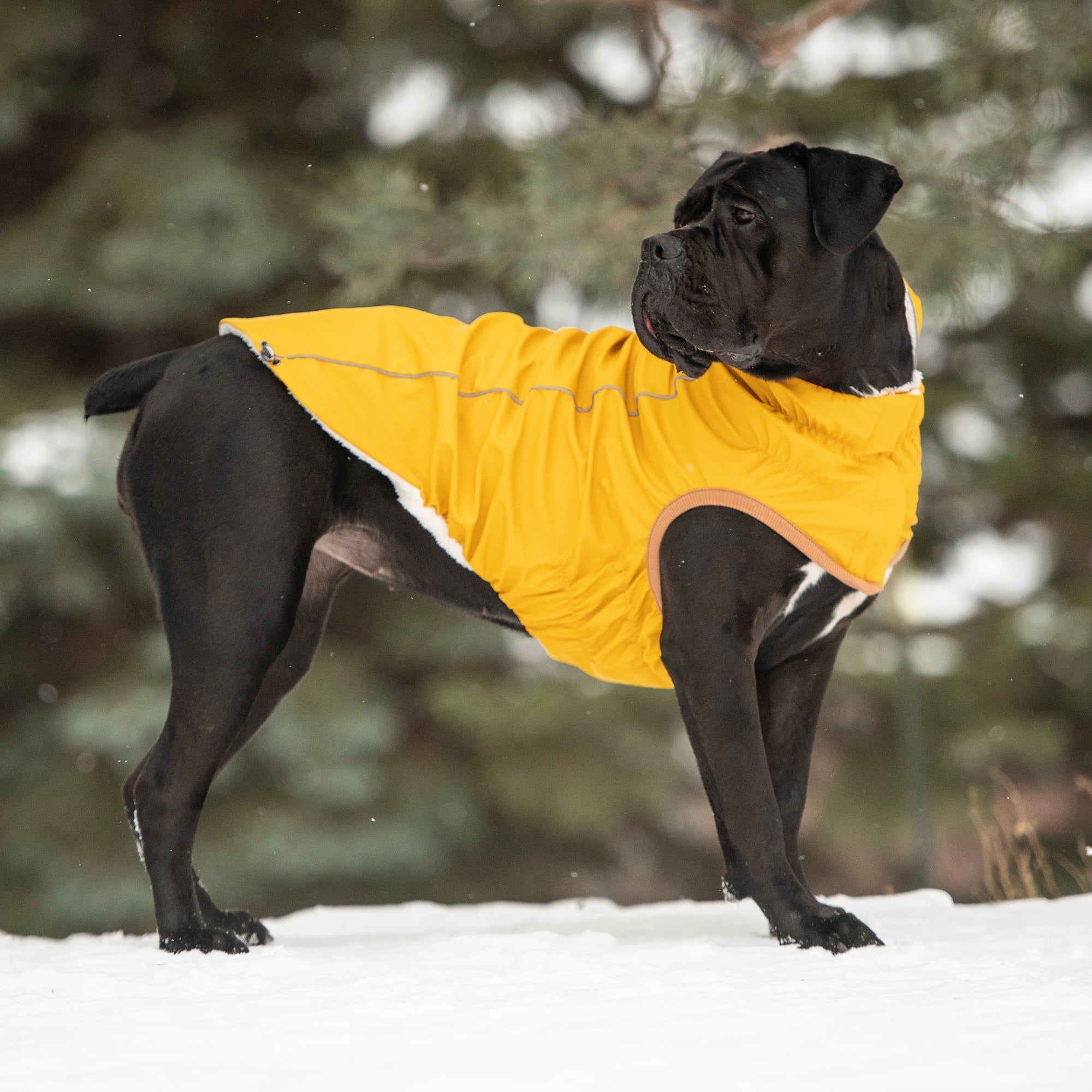 GF PET® Elasto-Fit Insulated Raincoat - Yellow (Classic High-Visibility & Sherpa)