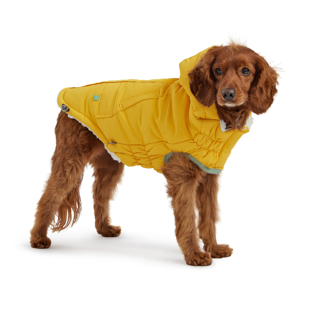 GF PET® Elasto-Fit Arctic Parka - Yellow (Ultra Puff Construction)