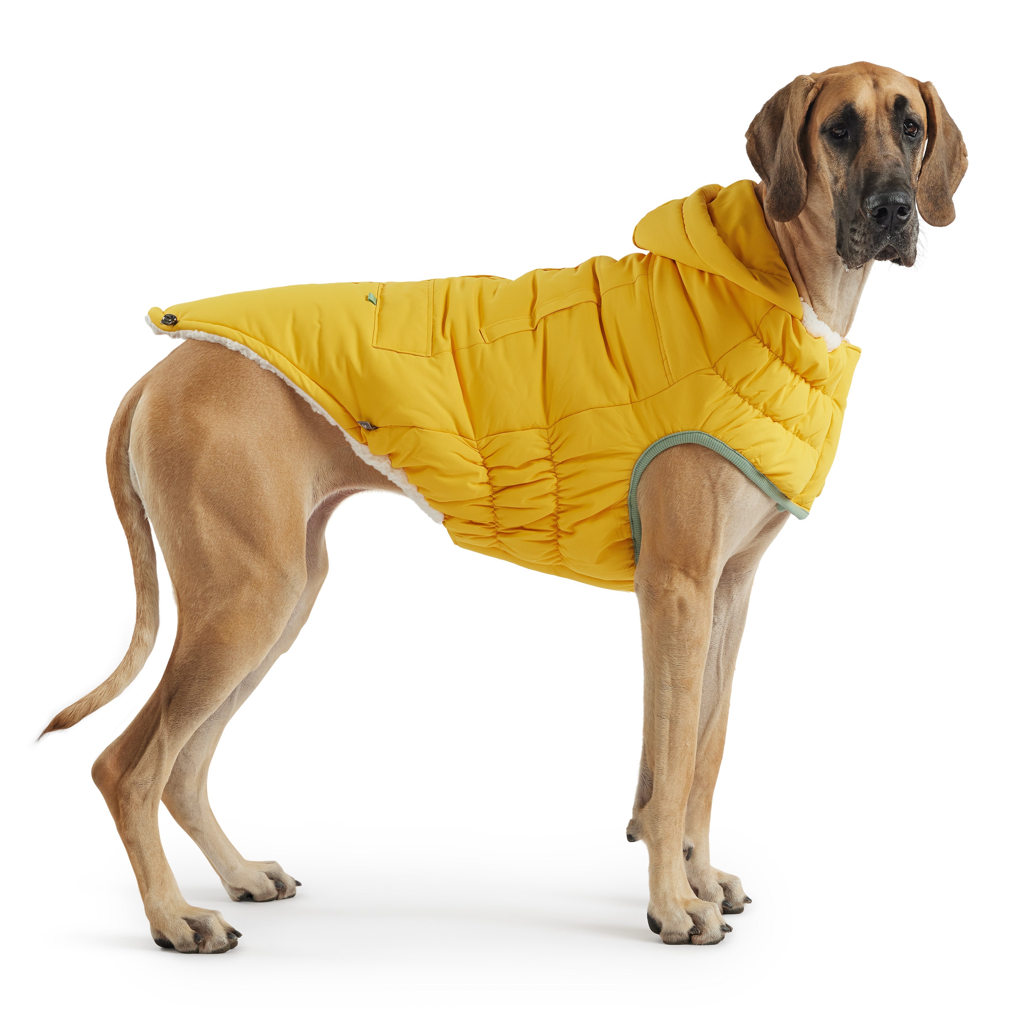 GF PET® Elasto-Fit Arctic Parka - Yellow (Ultra Puff Construction)