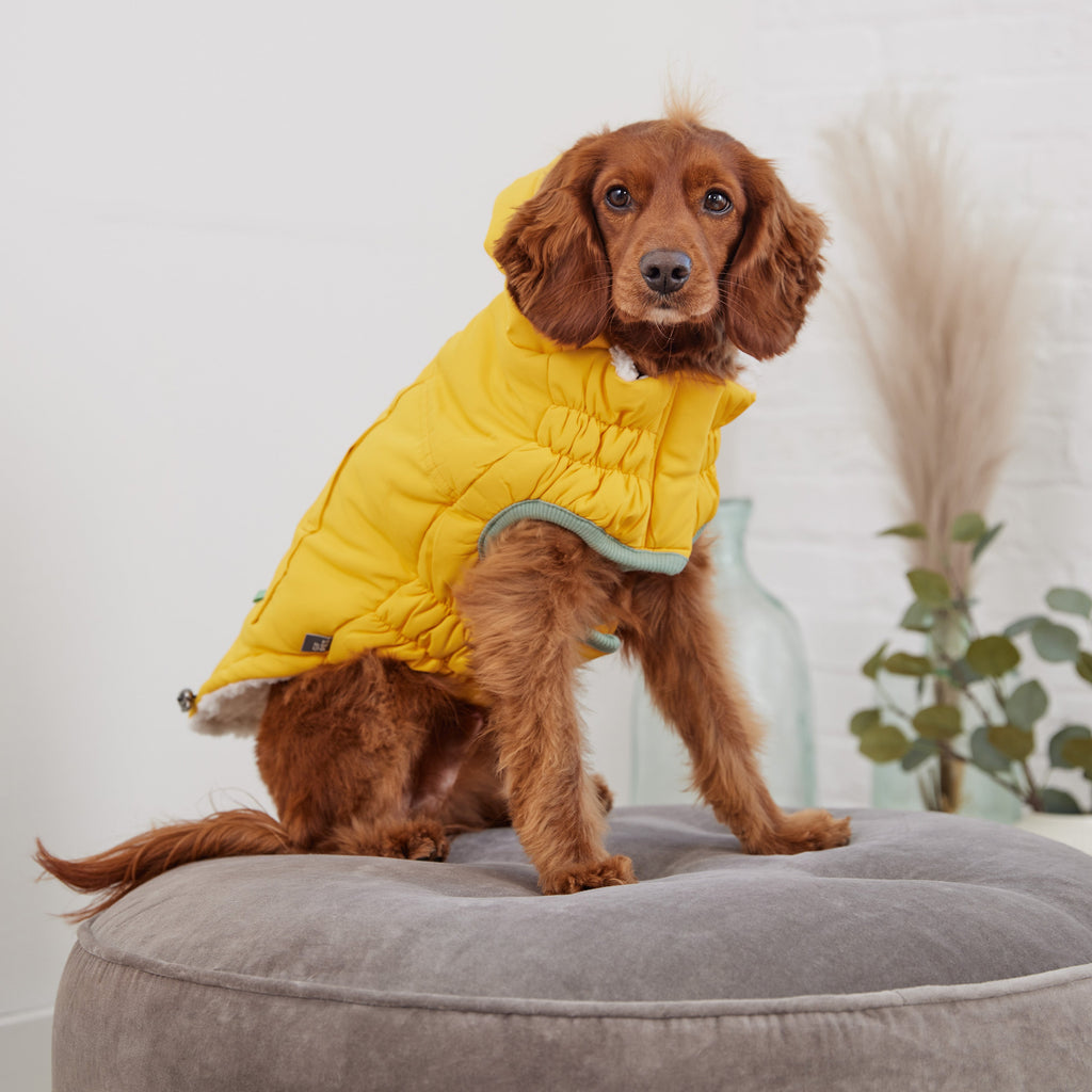GF PET® Elasto-Fit Arctic Parka - Yellow (Ultra Puff Construction)