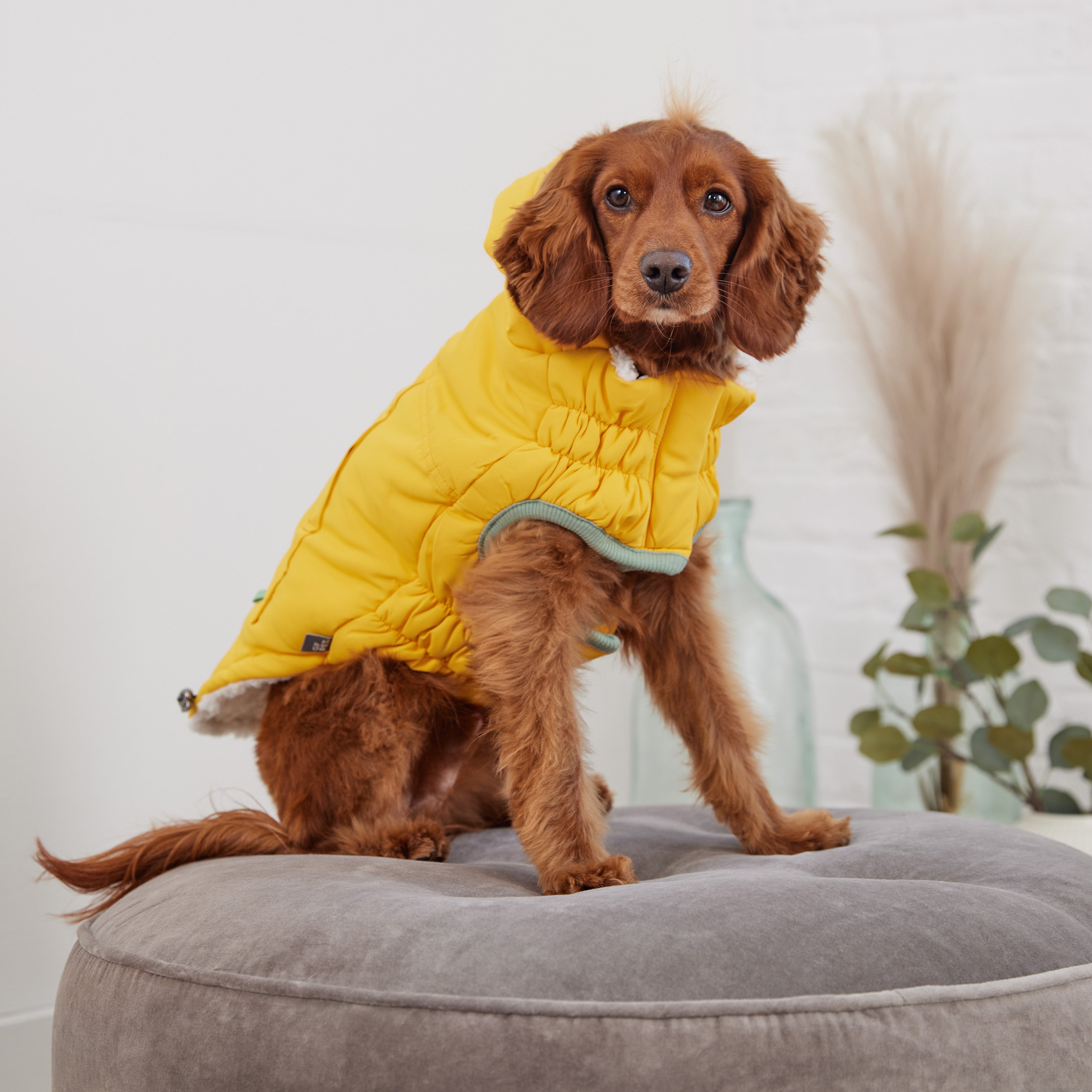 GF PET® Elasto-Fit Arctic Parka - Yellow (Ultra Puff Construction)