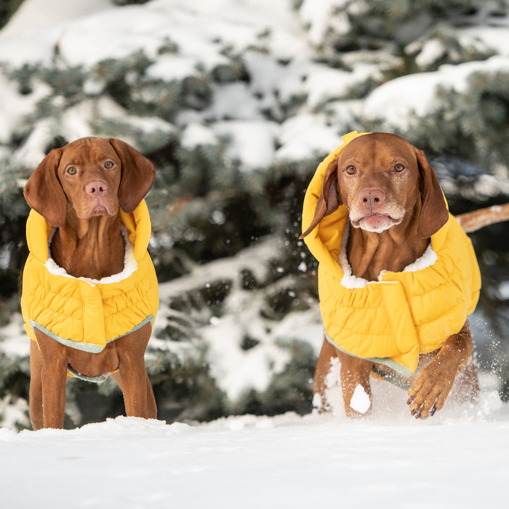GF PET® Elasto-Fit Arctic Parka - Yellow (Ultra Puff Construction)
