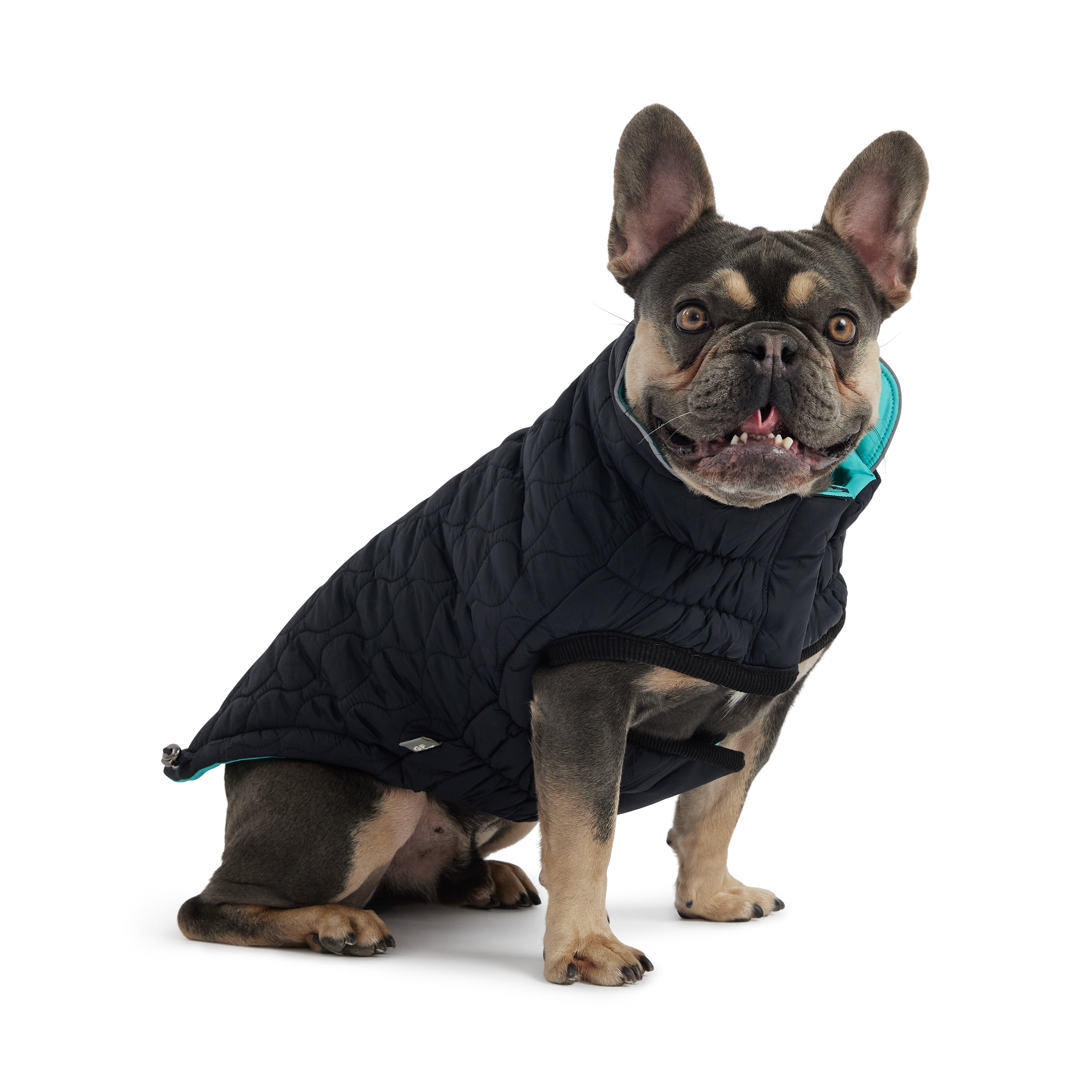 GF PET® Reversible Chalet Jacket - Black/Aqua (Quilted & Reflective Winter Coat)