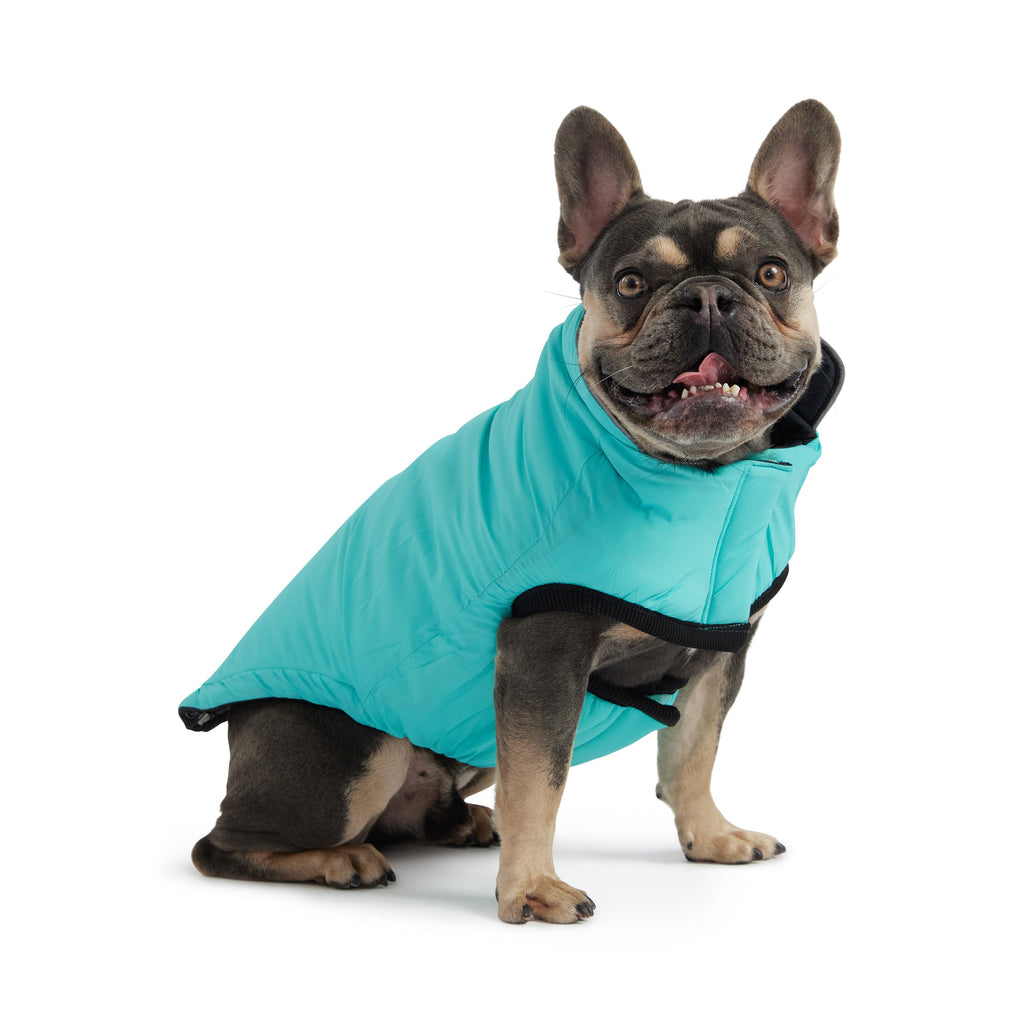 GF PET® Reversible Chalet Jacket - Black/Aqua (Quilted & Reflective Winter Coat)