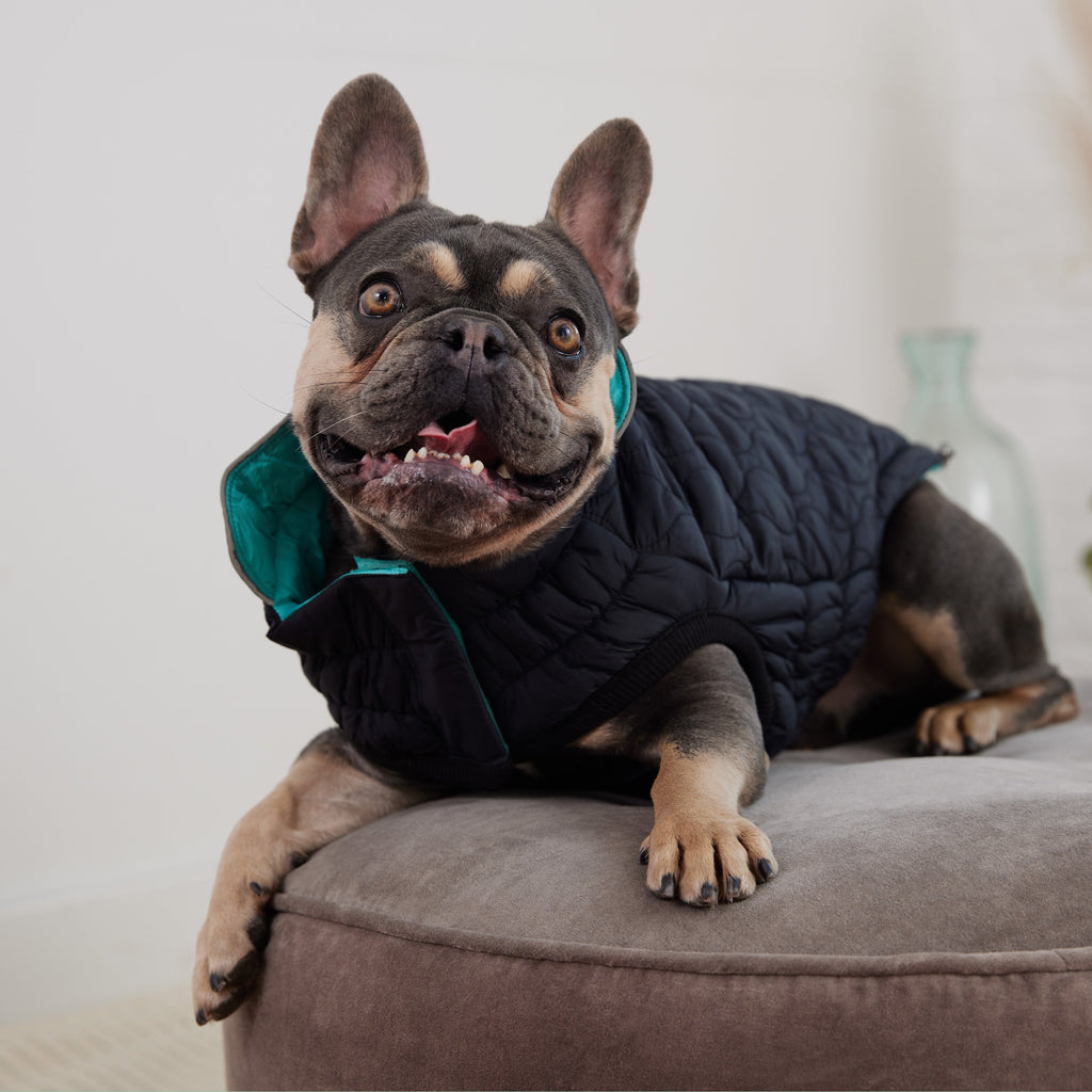 GF PET® Reversible Chalet Jacket - Black/Aqua (Quilted & Reflective Winter Coat)