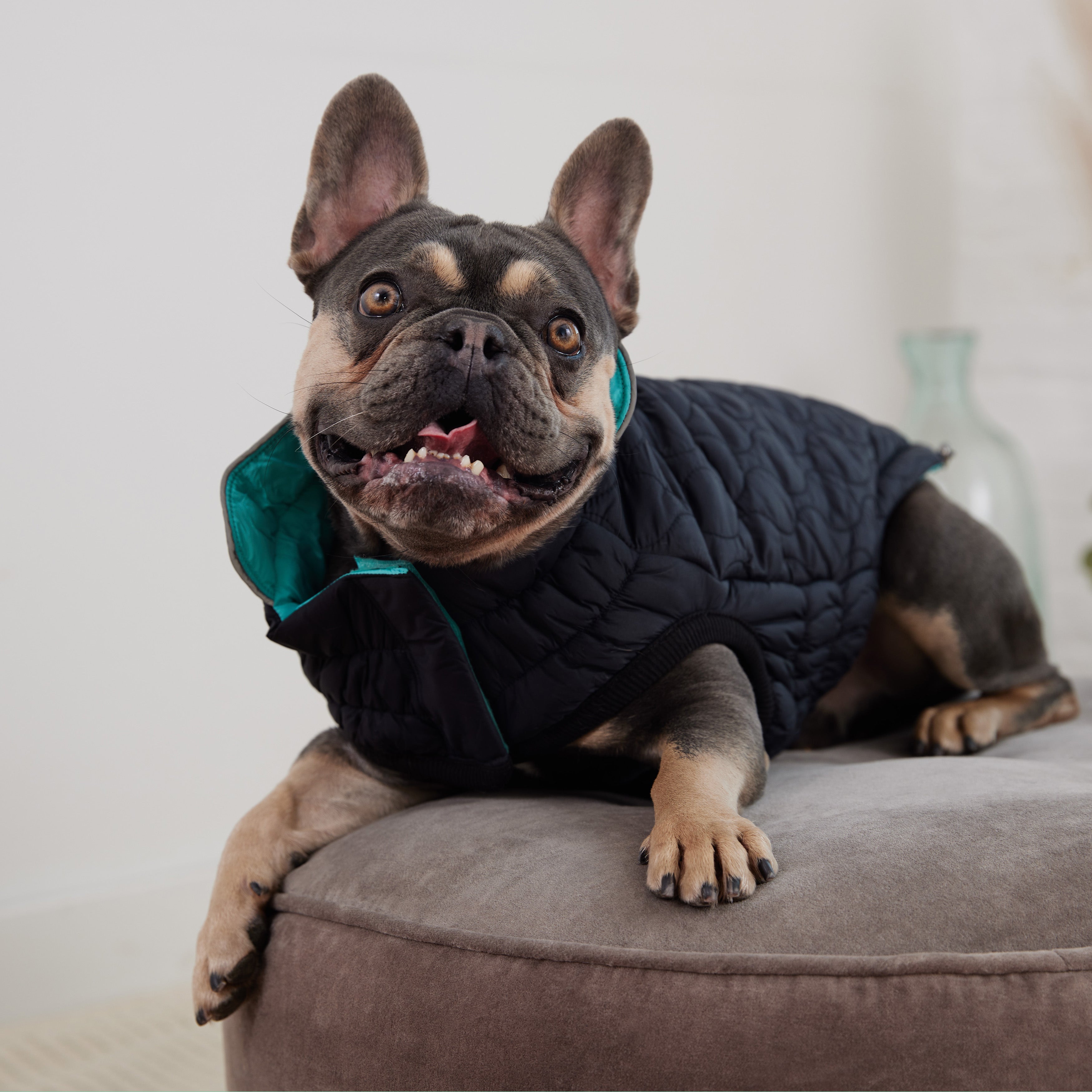 GF PET® Reversible Chalet Jacket - Black/Aqua (Quilted & Reflective Winter Coat)