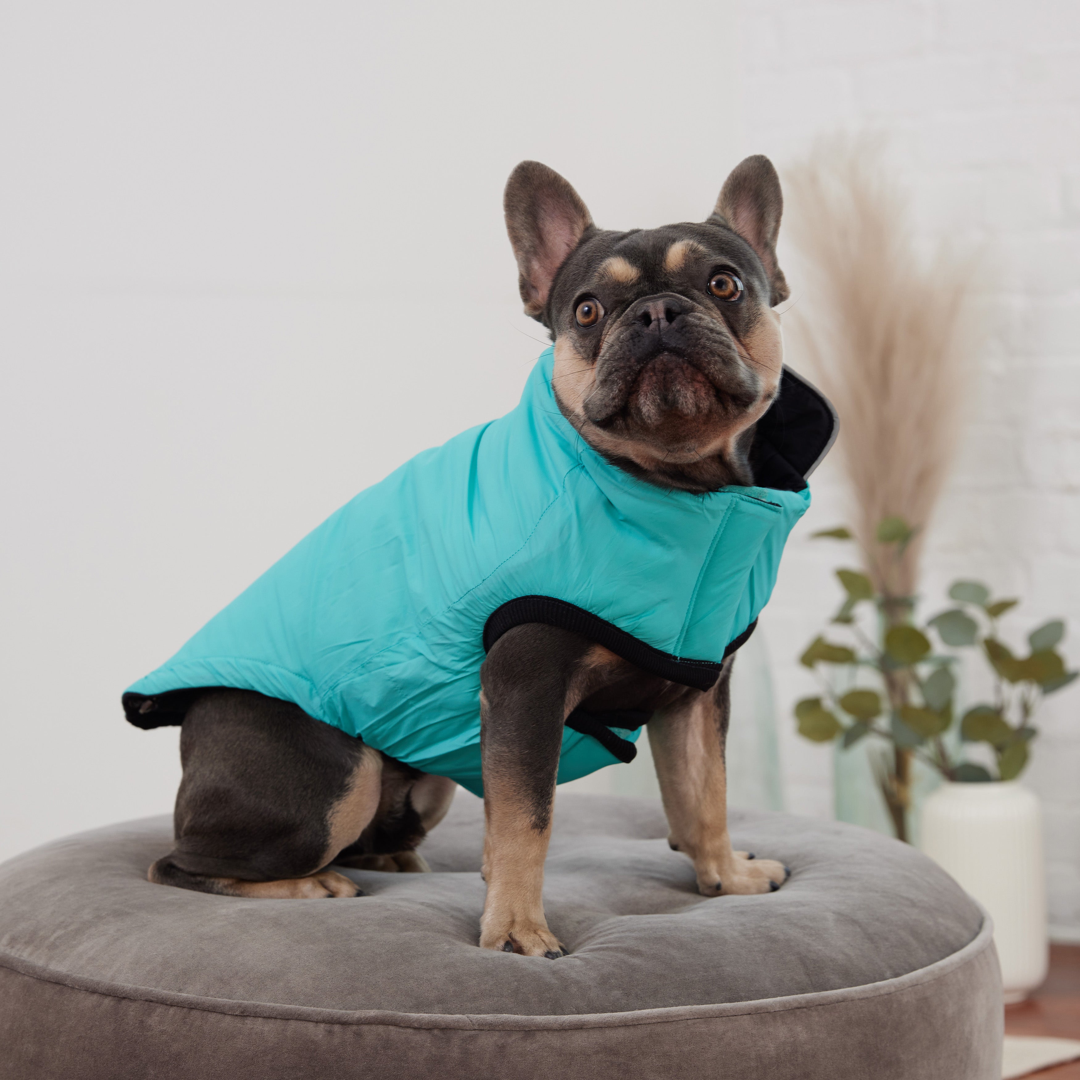 GF PET® Reversible Chalet Jacket - Black/Aqua (Quilted & Reflective Winter Coat)