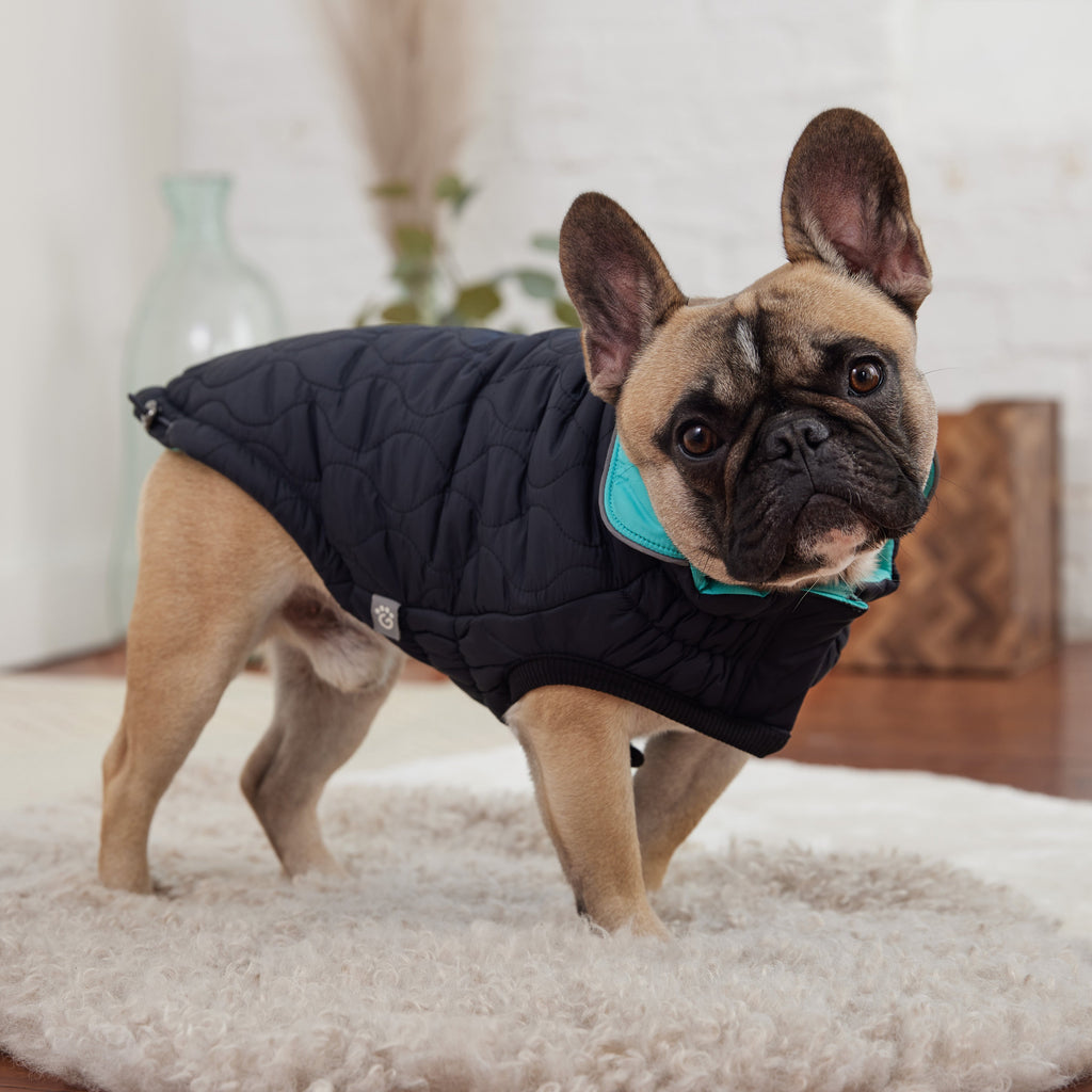 GF PET® Reversible Chalet Jacket - Black/Aqua (Quilted & Reflective Winter Coat)