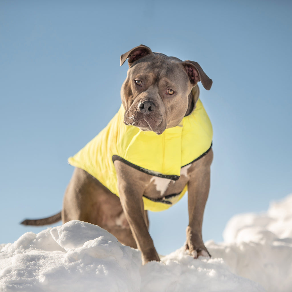 GF PET® Reversible Chalet Jacket - Sand/Yellow (Quilted & Reflective 2-in-1 Coat)