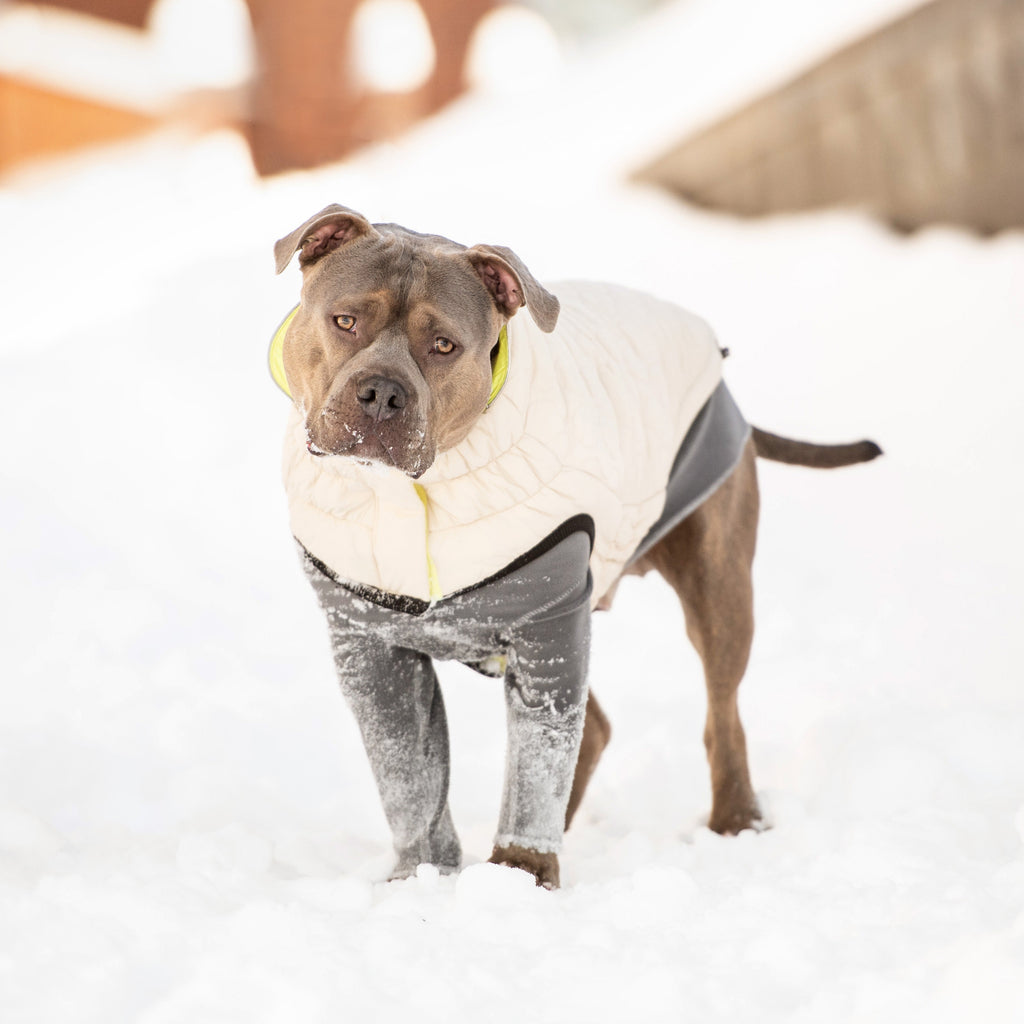 GF PET® Reversible Chalet Jacket - Sand/Yellow (Quilted & Reflective 2-in-1 Coat)
