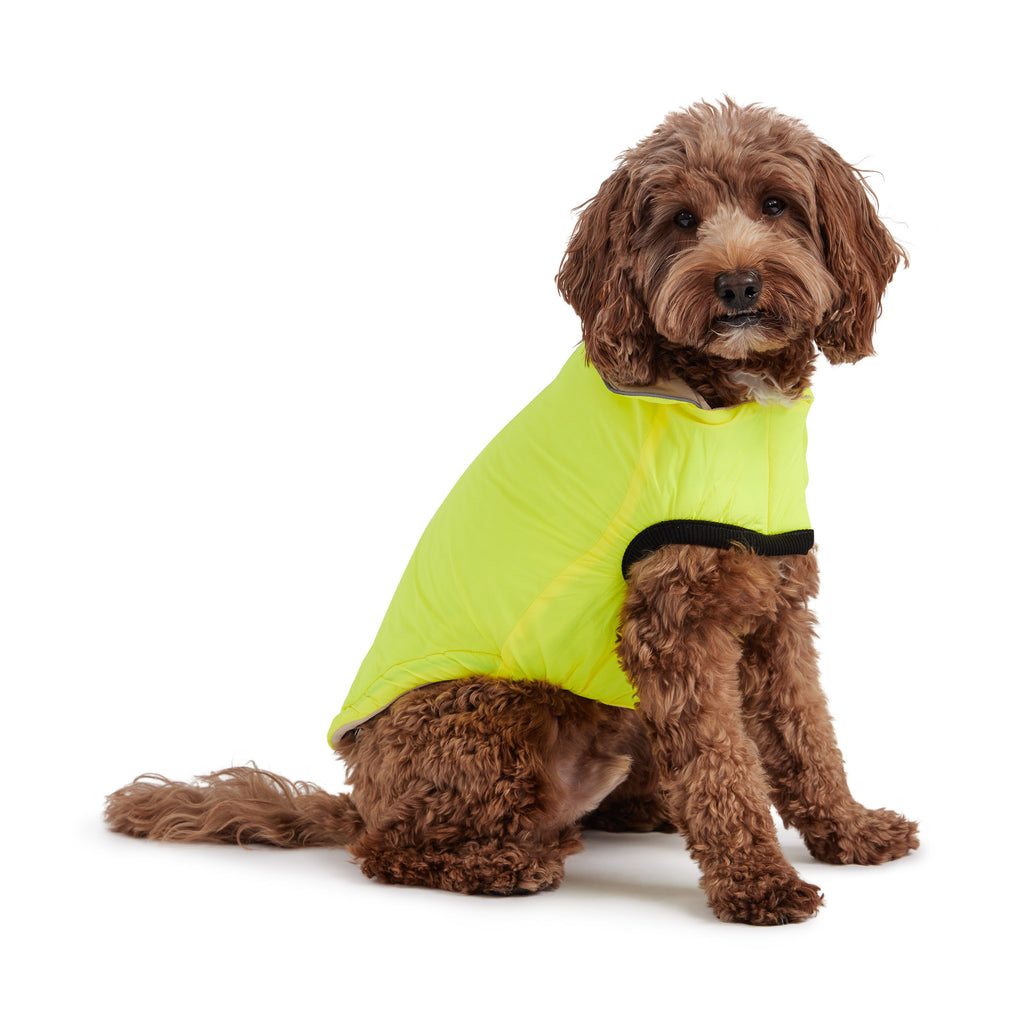 GF PET® Reversible Chalet Jacket - Sand/Yellow (Quilted & Reflective 2-in-1 Coat)