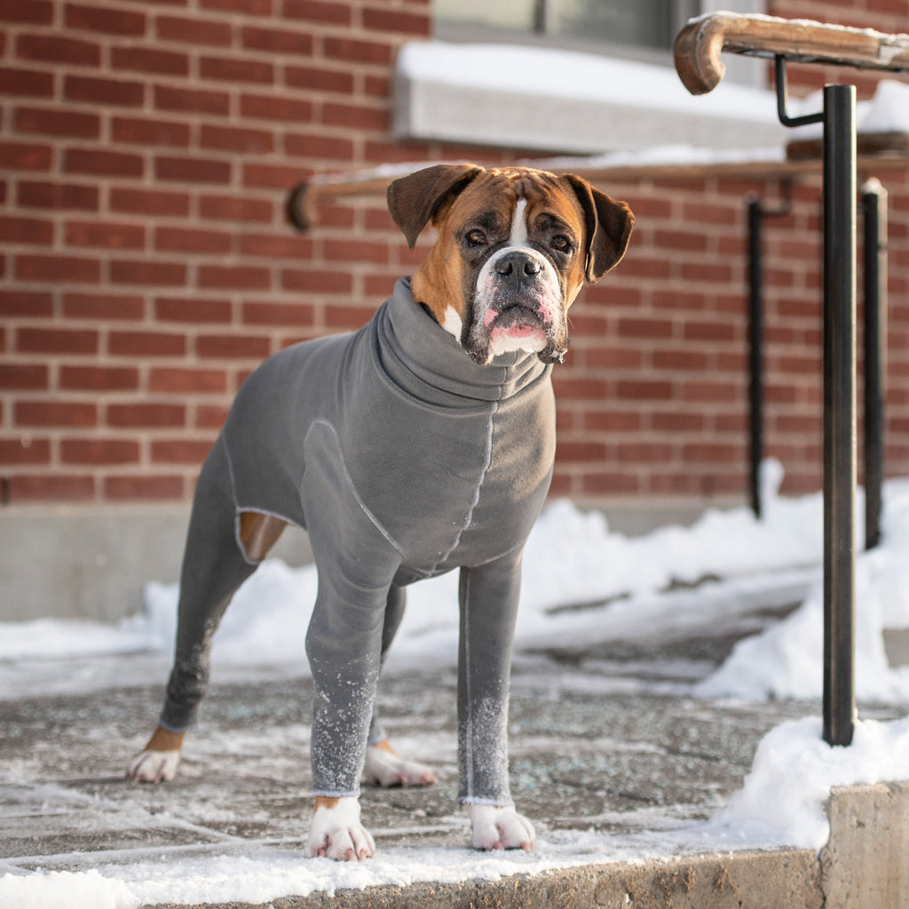 GF PET® Gondola Dog Onesie - Charcoal (4-Way Stretch Full Coverage Fleece)