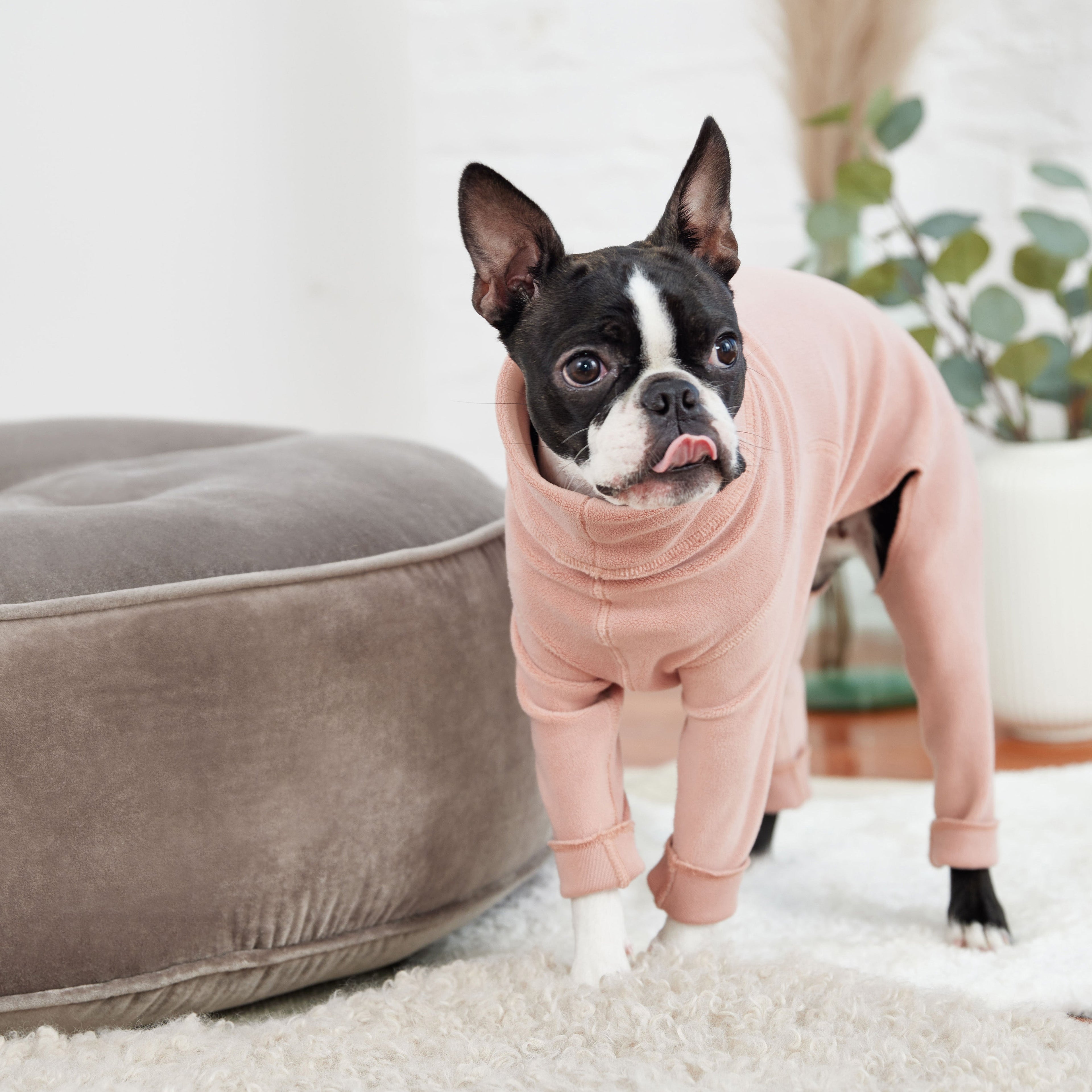 GF PET® Gondola Dog Onesie - Pink (Ultra-Soft Micro Polar Fleece)