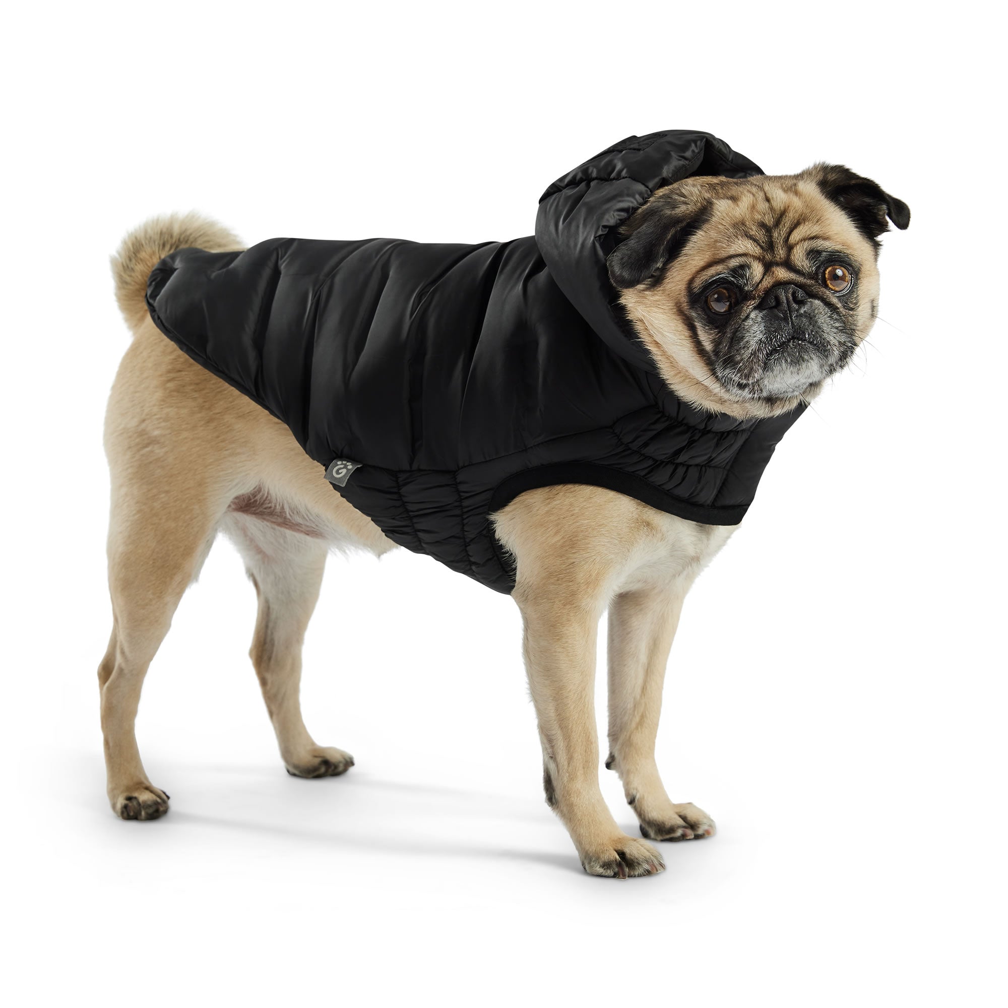 GF PET Elasto-Fit Cloud Parka