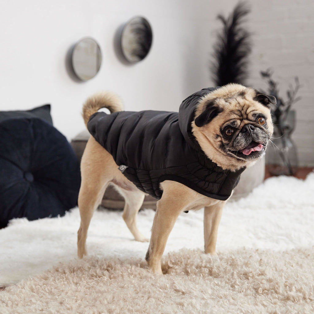 GF PET Elasto-Fit Cloud Parka