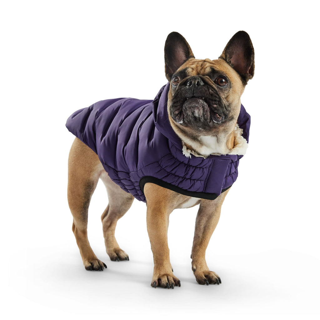 GF PET Elasto-Fit Cloud Parka