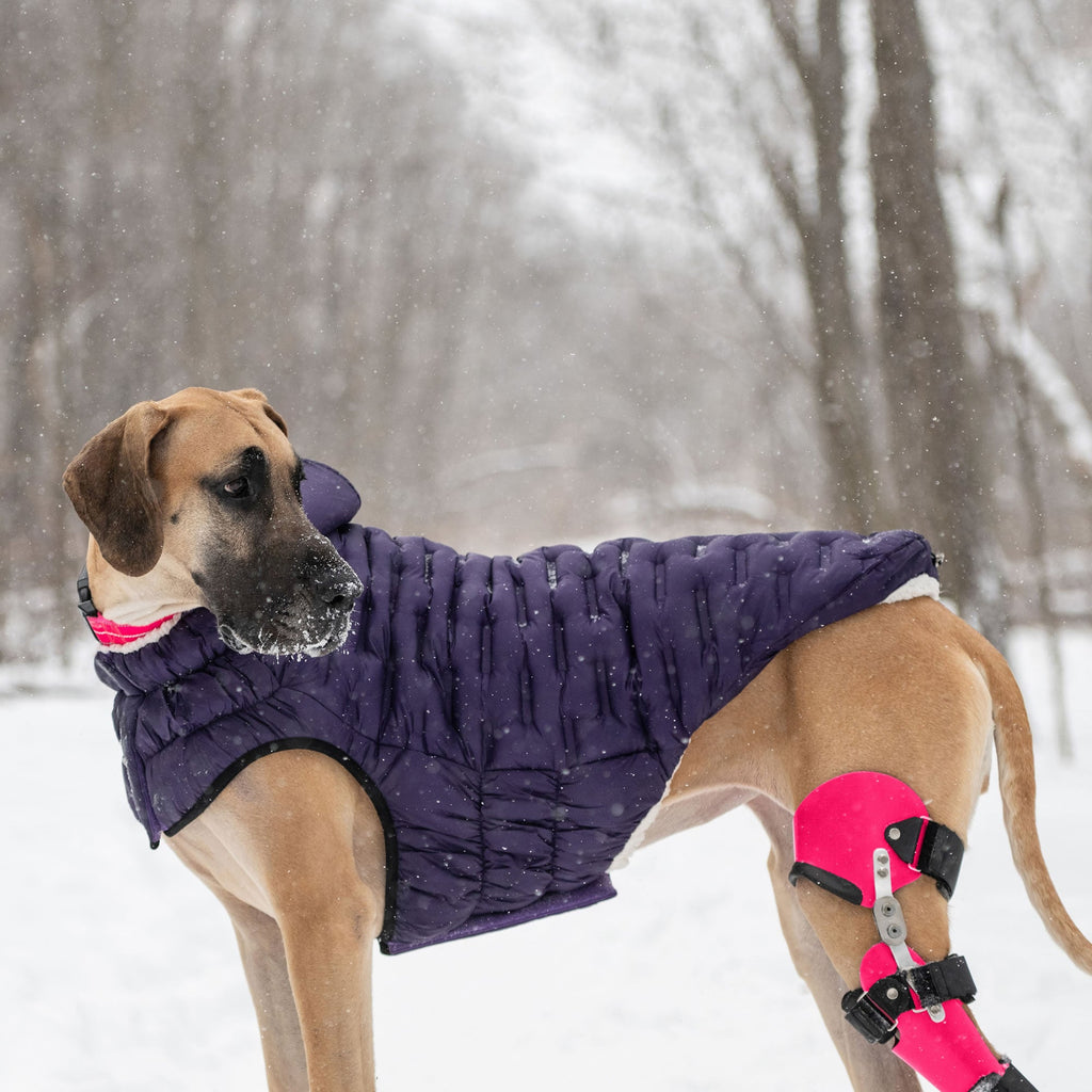 GF PET Elasto-Fit Cloud Parka