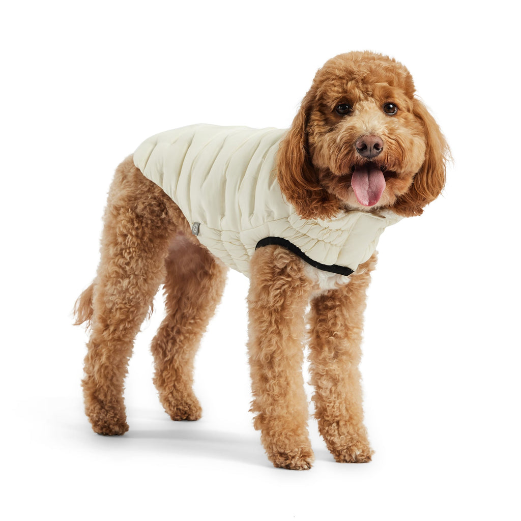 GF PET Elasto-Fit Cloud Parka