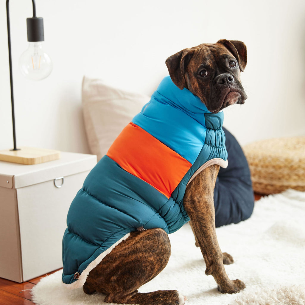 GF PET® Elasto-Fit Color Block Puffer - Trendy Winter Dog Jacket