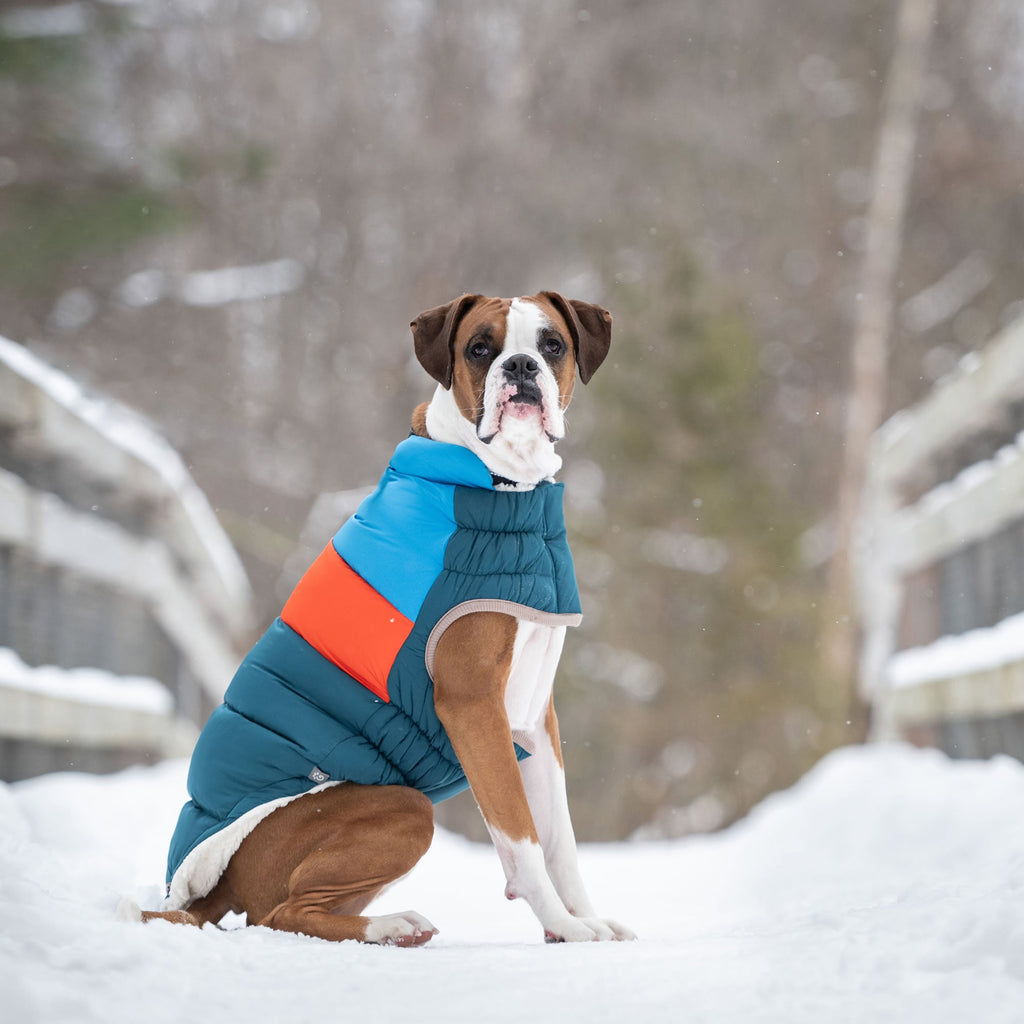 GF PET® Elasto-Fit Color Block Puffer - Trendy Winter Dog Jacket