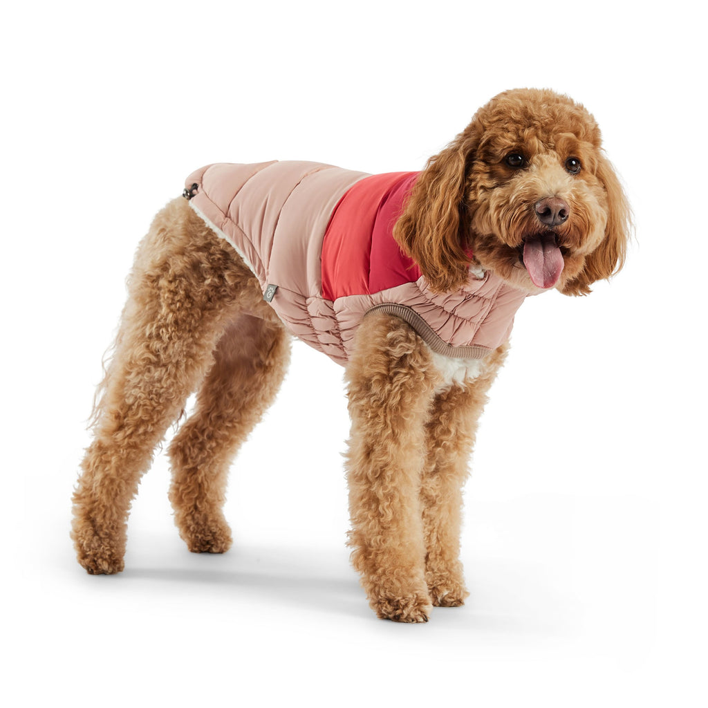 GF PET® Elasto-Fit Color Block Puffer - Trendy Winter Dog Jacket