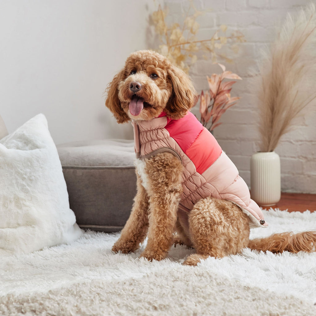 GF PET® Elasto-Fit Color Block Puffer - Trendy Winter Dog Jacket