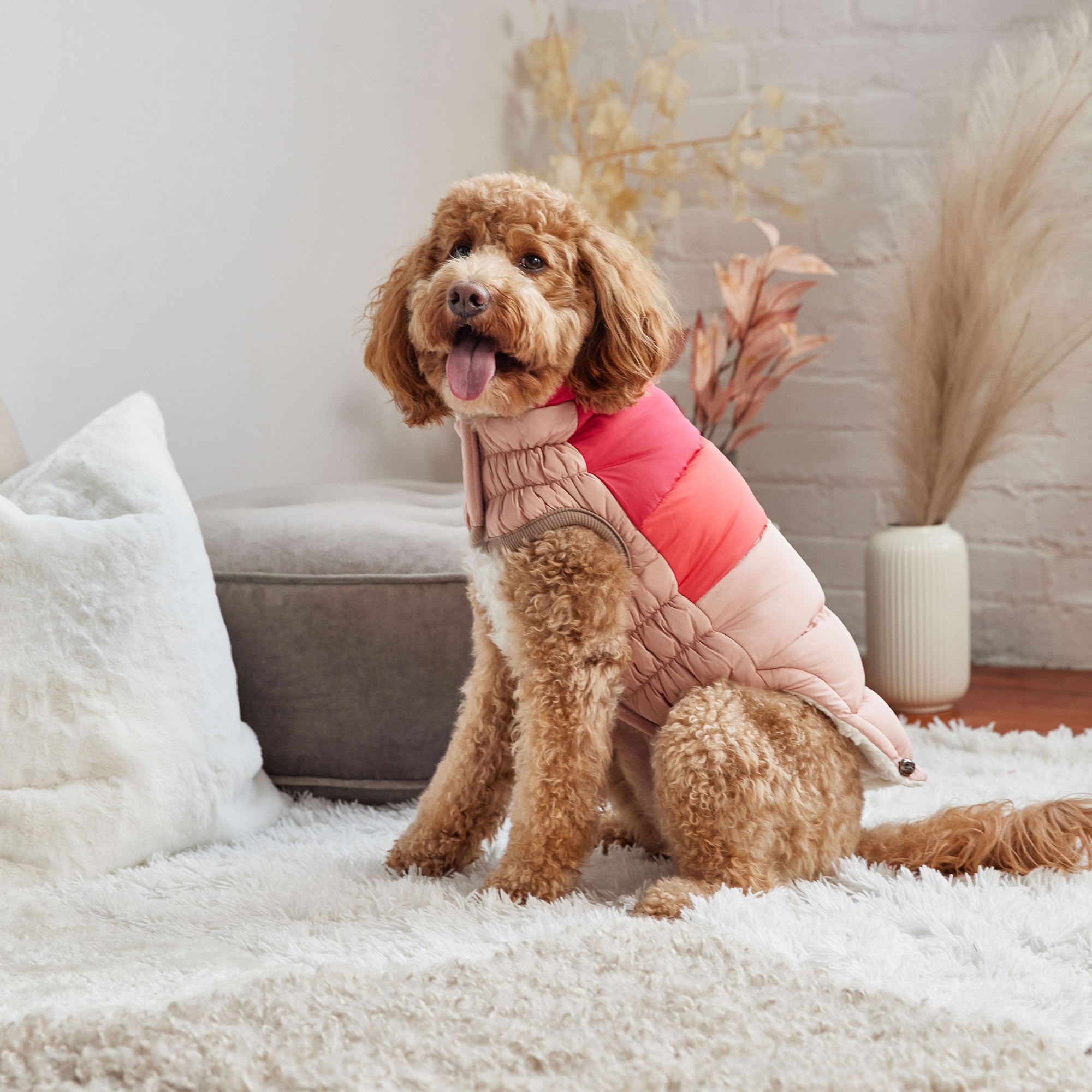 GF PET® Elasto-Fit Color Block Puffer - Trendy Winter Dog Jacket