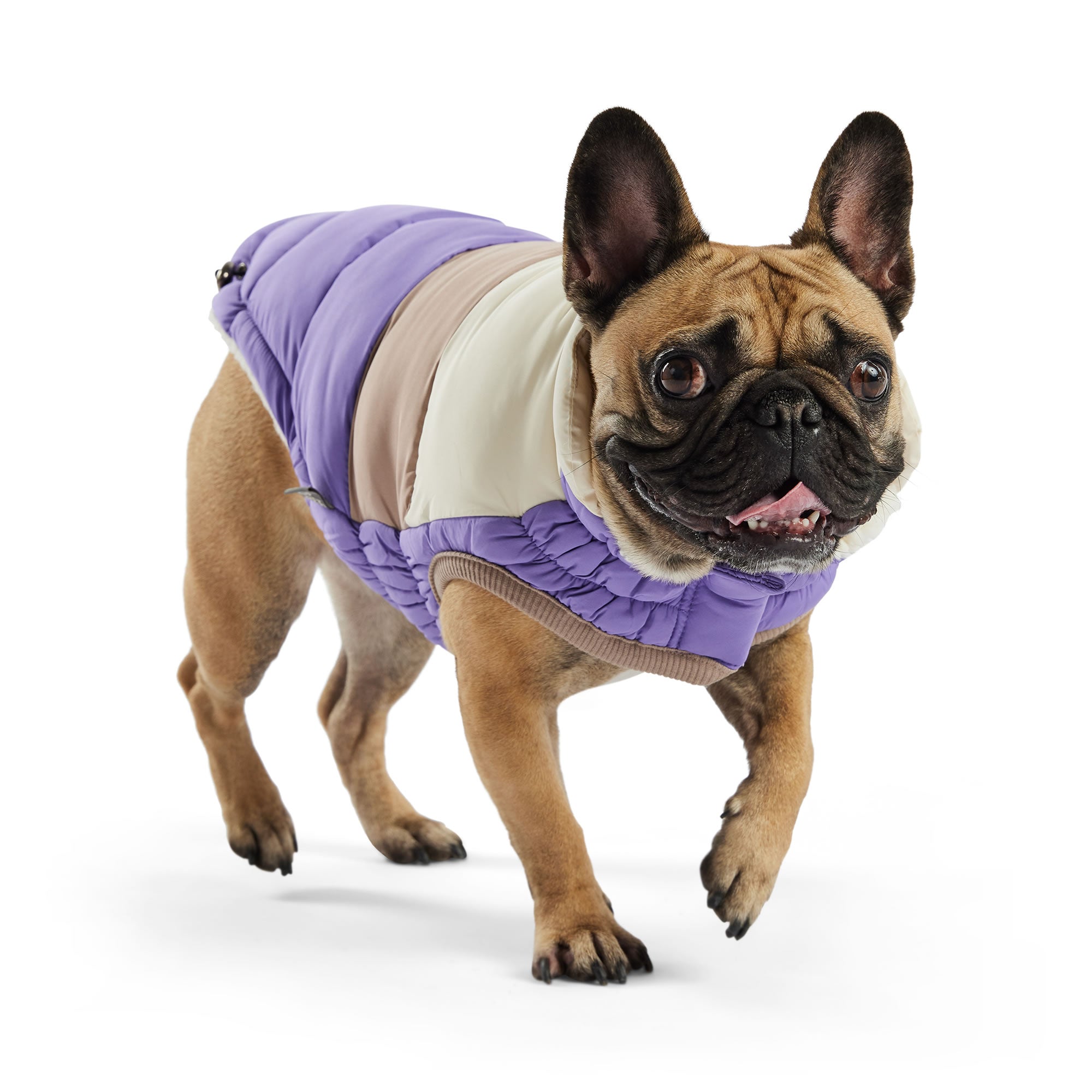 GF PET® Elasto-Fit Color Block Puffer - Trendy Winter Dog Jacket