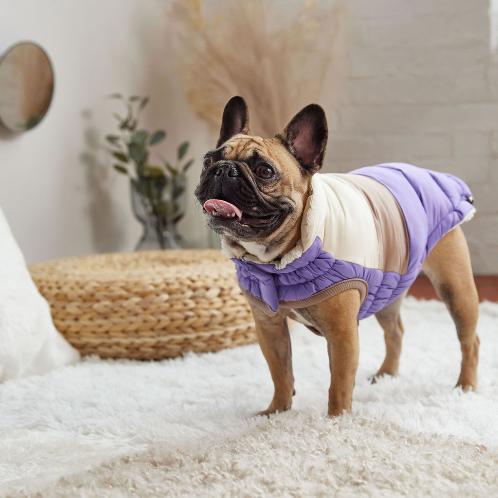 GF PET® Elasto-Fit Color Block Puffer - Trendy Winter Dog Jacket