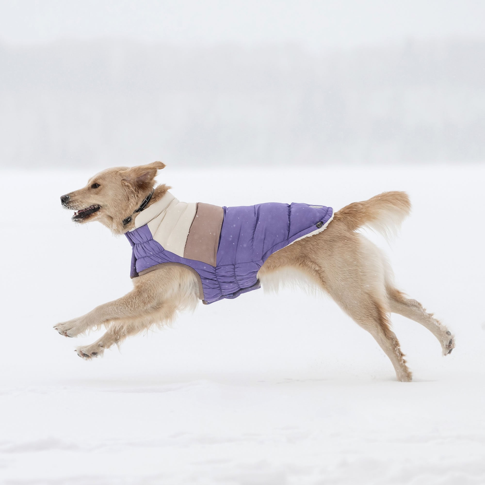 GF PET® Elasto-Fit Color Block Puffer - Trendy Winter Dog Jacket