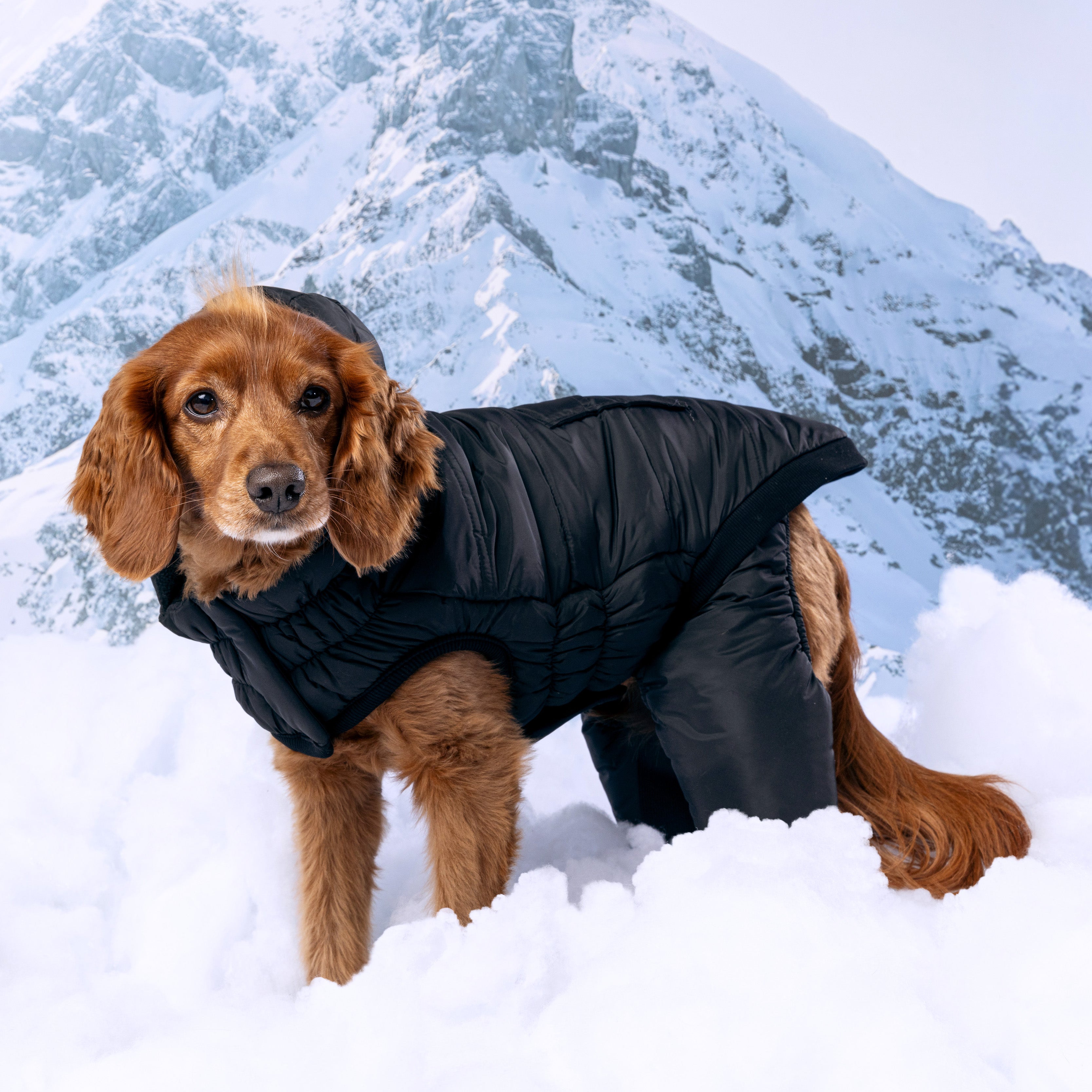 GF PET Elasto-Fit Odyssey Snowsuit (Detachable Pants)