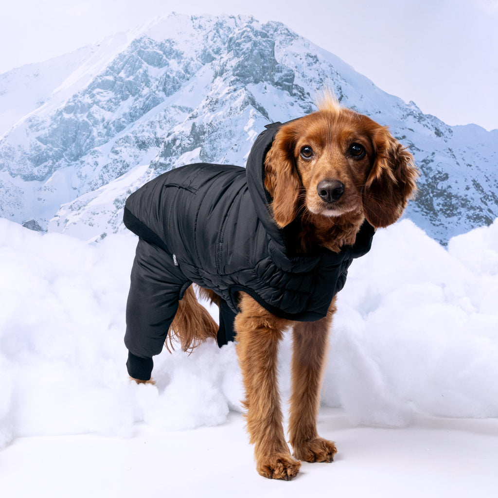 GF PET Elasto-Fit Odyssey Snowsuit (Detachable Pants)