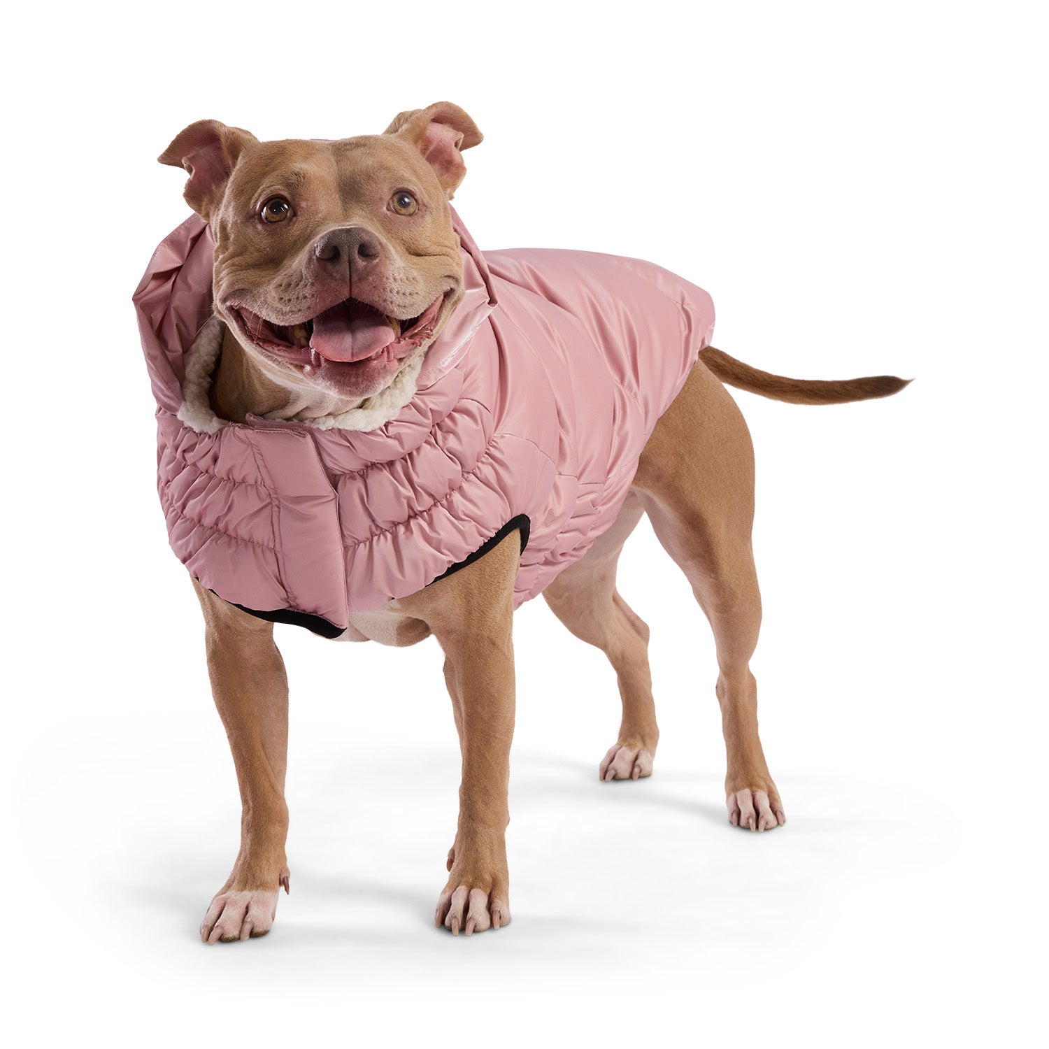 GF PET® Elasto-Fit Lunar Glow Parka - Elegant Pearl Finish Winter Coat