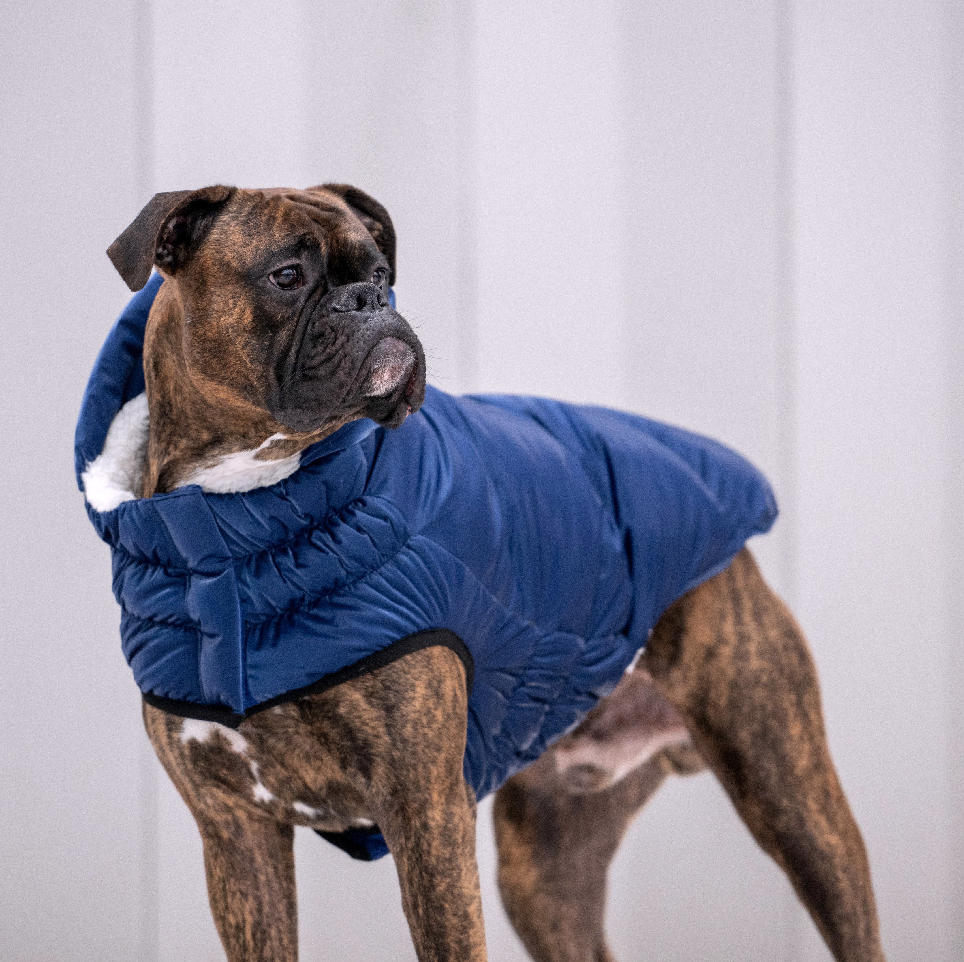 GF PET® Elasto-Fit Lunar Glow Parka - Elegant Pearl Finish Winter Coat