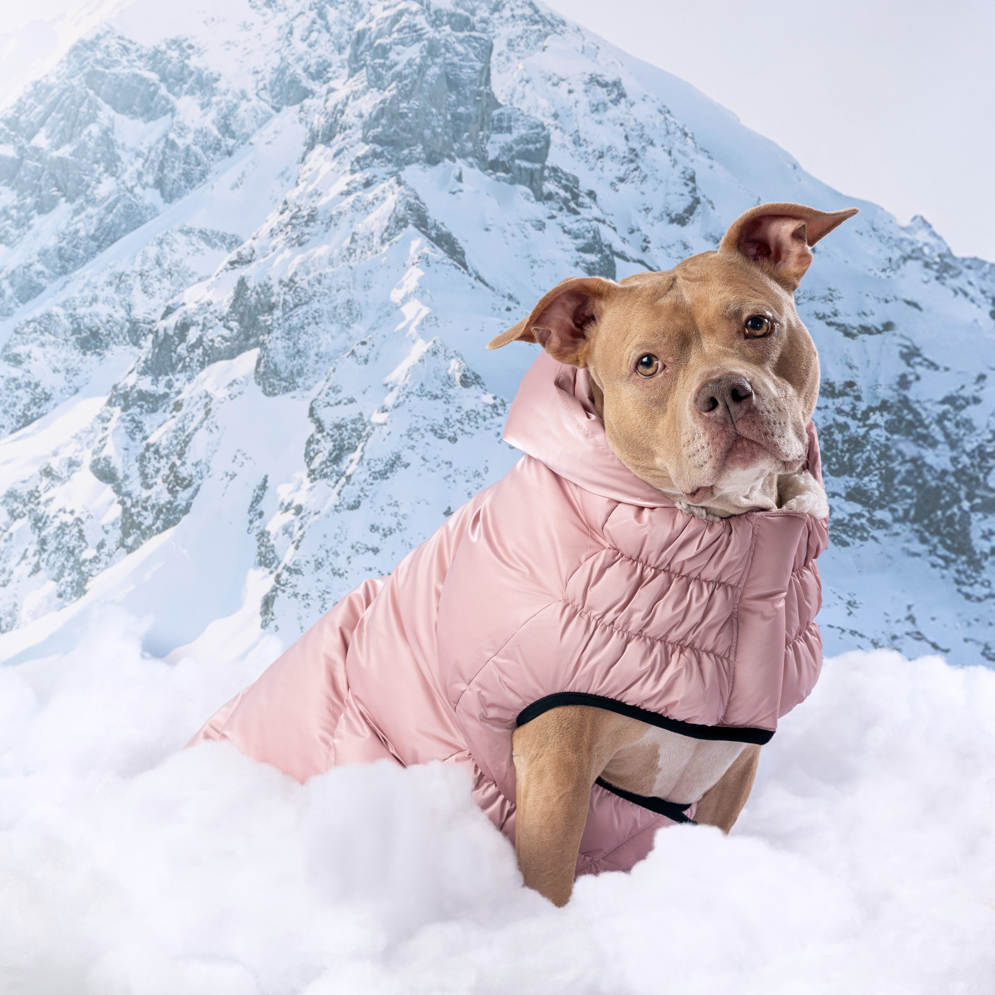 GF PET® Elasto-Fit Lunar Glow Parka - Elegant Pearl Finish Winter Coat