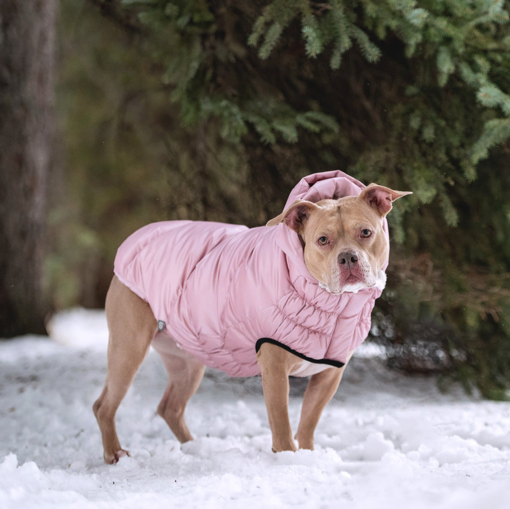 GF PET® Elasto-Fit Lunar Glow Parka - Elegant Pearl Finish Winter Coat