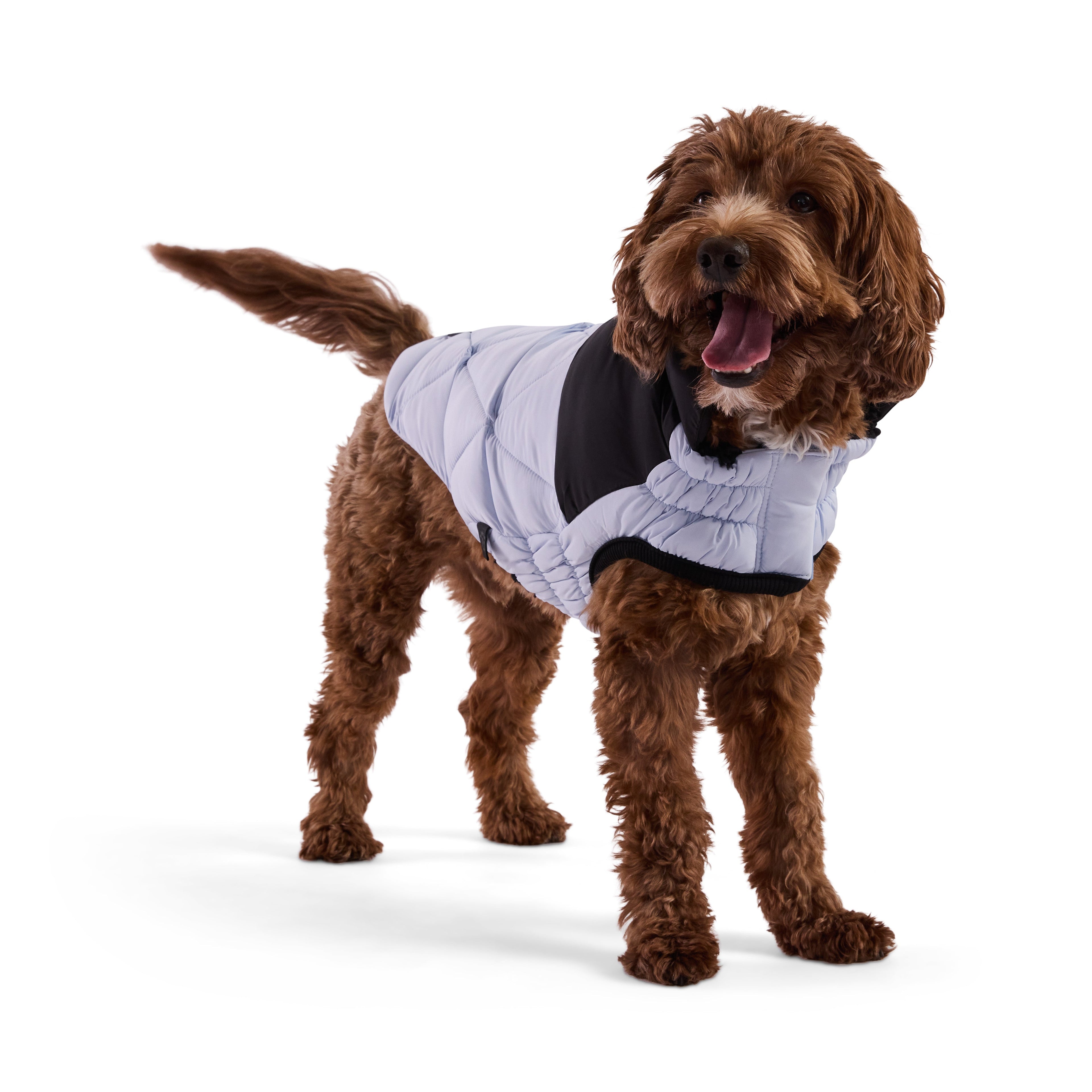 GF PET® Black Label Diamond Puffer - Modern Quilted Dog Jacket