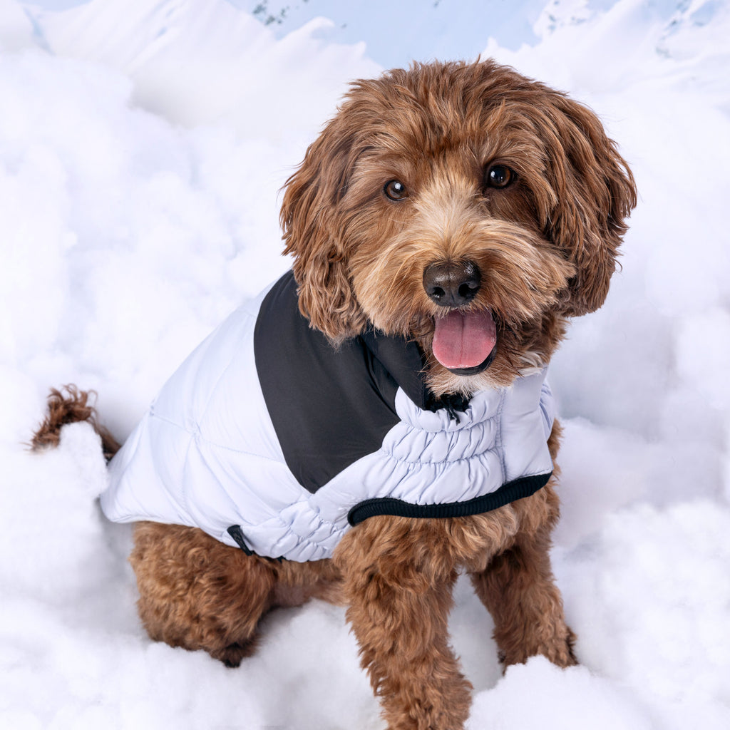 GF PET® Black Label Diamond Puffer - Modern Quilted Dog Jacket
