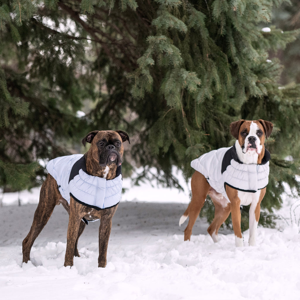 GF PET® Black Label Diamond Puffer - Modern Quilted Dog Jacket