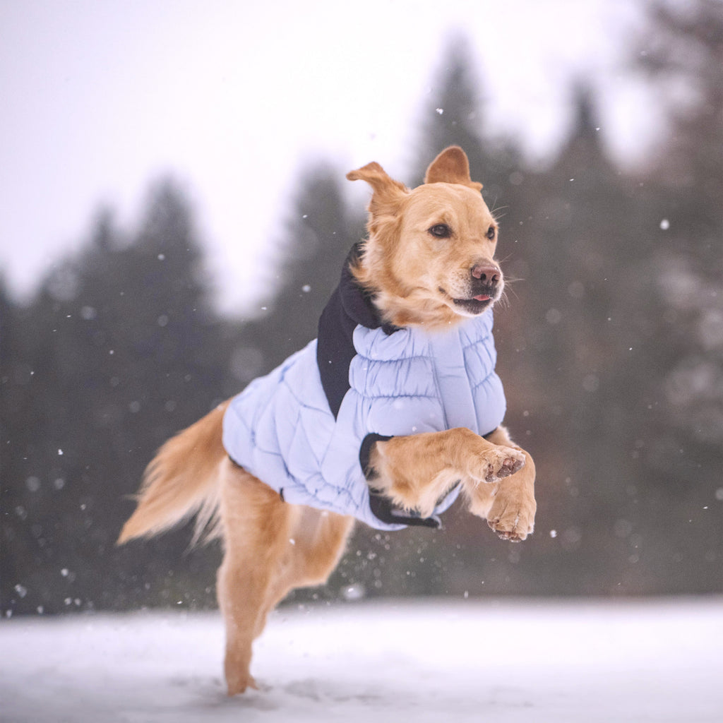 GF PET® Black Label Diamond Puffer - Modern Quilted Dog Jacket