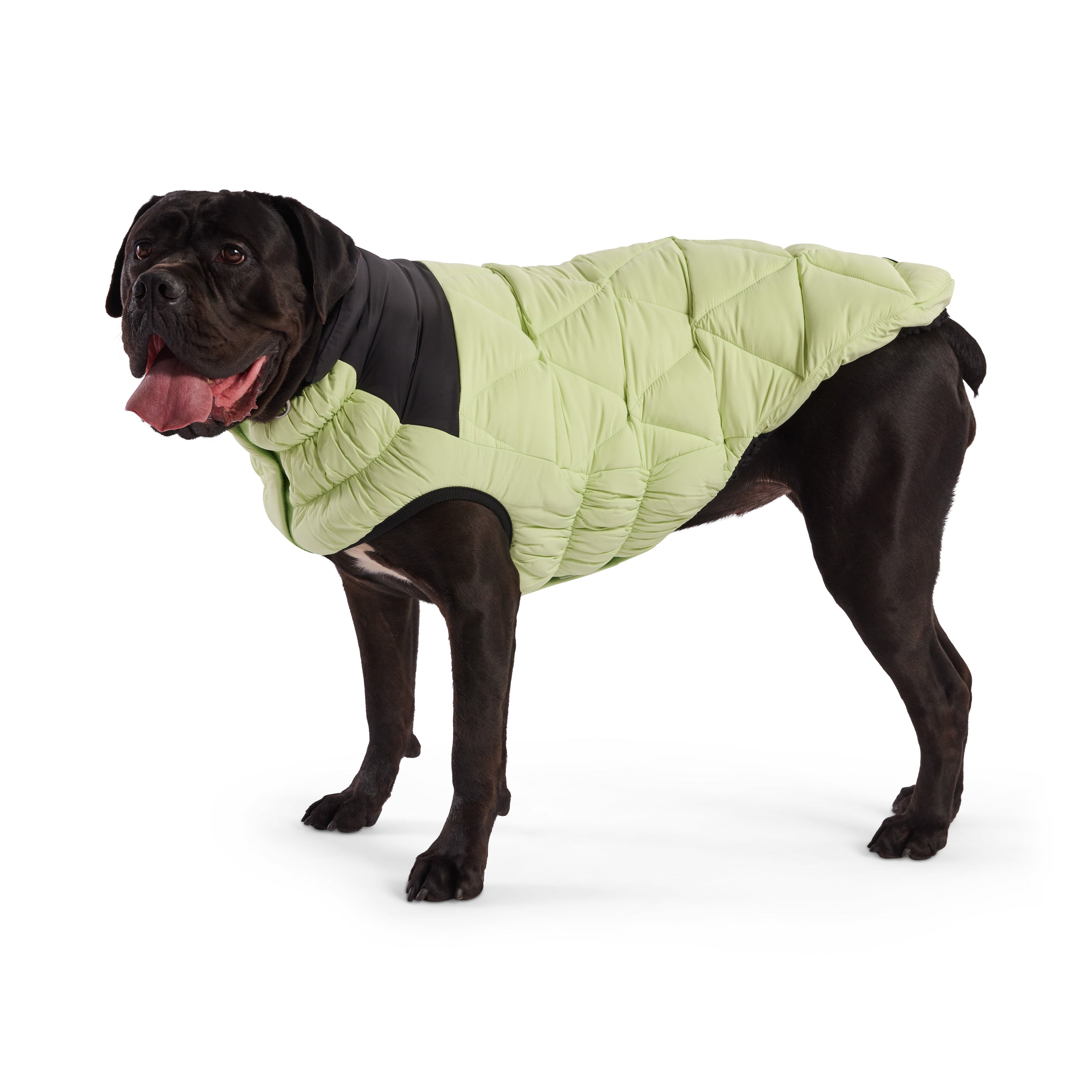 GF PET® Black Label Diamond Puffer - Modern Quilted Dog Jacket