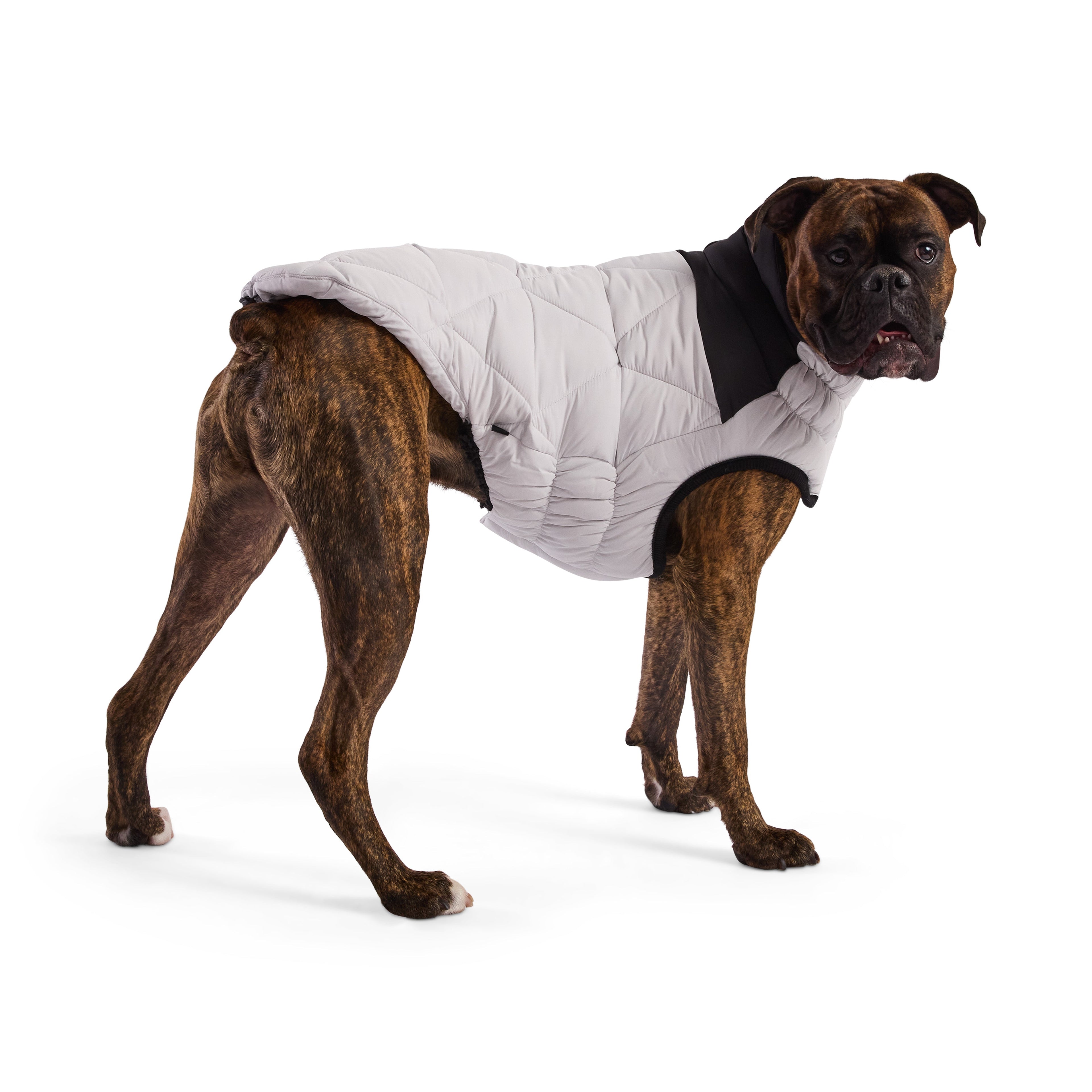 GF PET® Black Label Diamond Puffer - Modern Quilted Dog Jacket