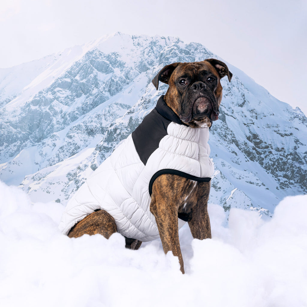 GF PET® Black Label Diamond Puffer - Modern Quilted Dog Jacket