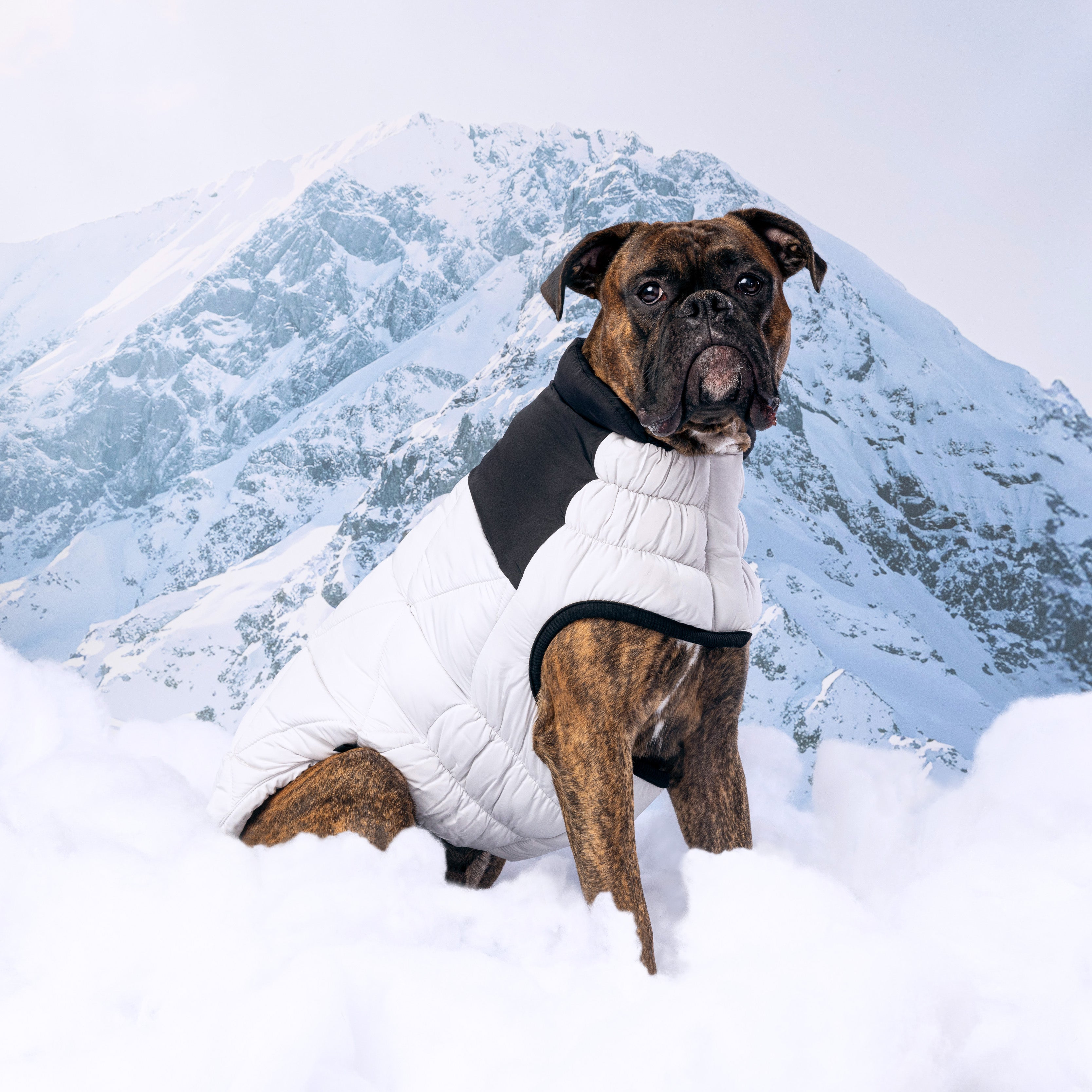 GF PET® Black Label Diamond Puffer - Modern Quilted Dog Jacket
