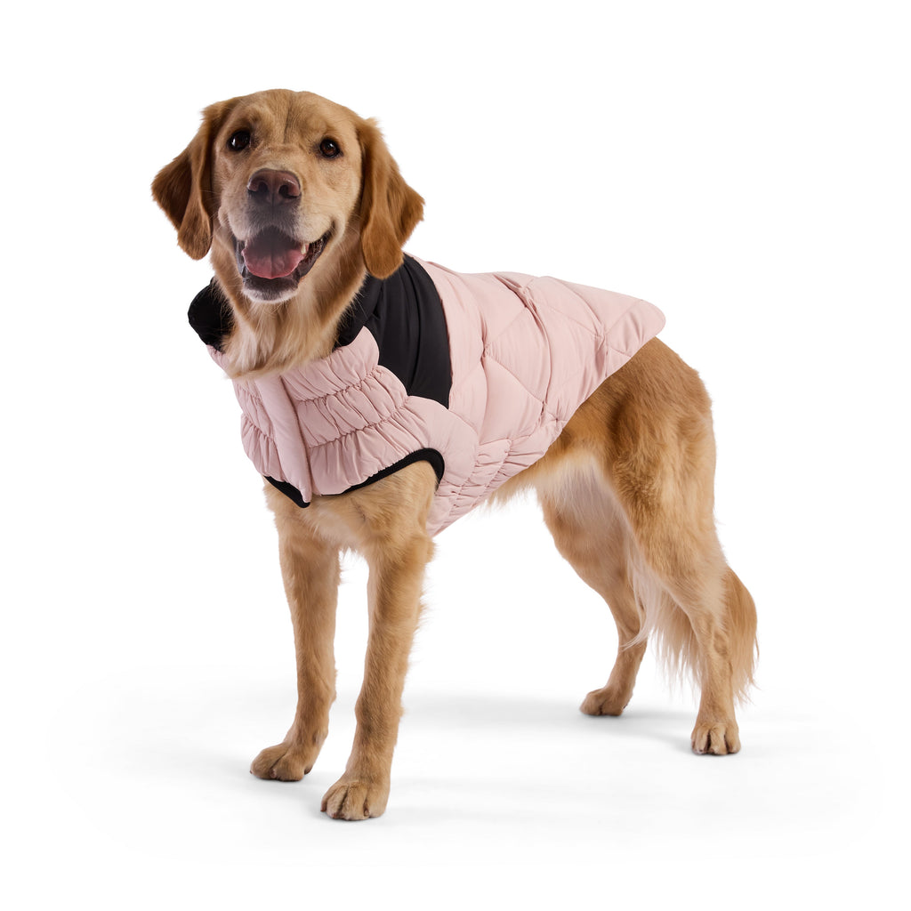 GF PET® Black Label Diamond Puffer - Modern Quilted Dog Jacket