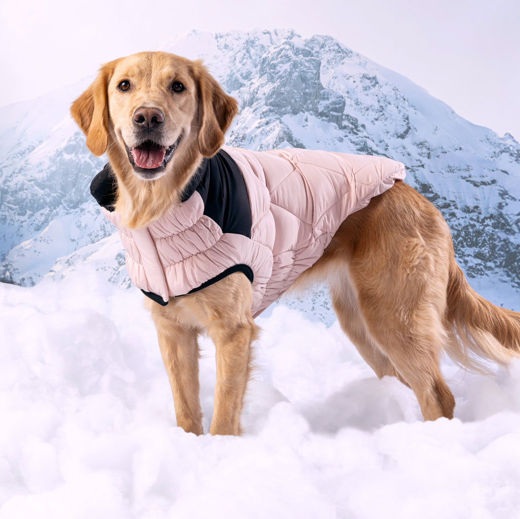 GF PET® Black Label Diamond Puffer - Modern Quilted Dog Jacket